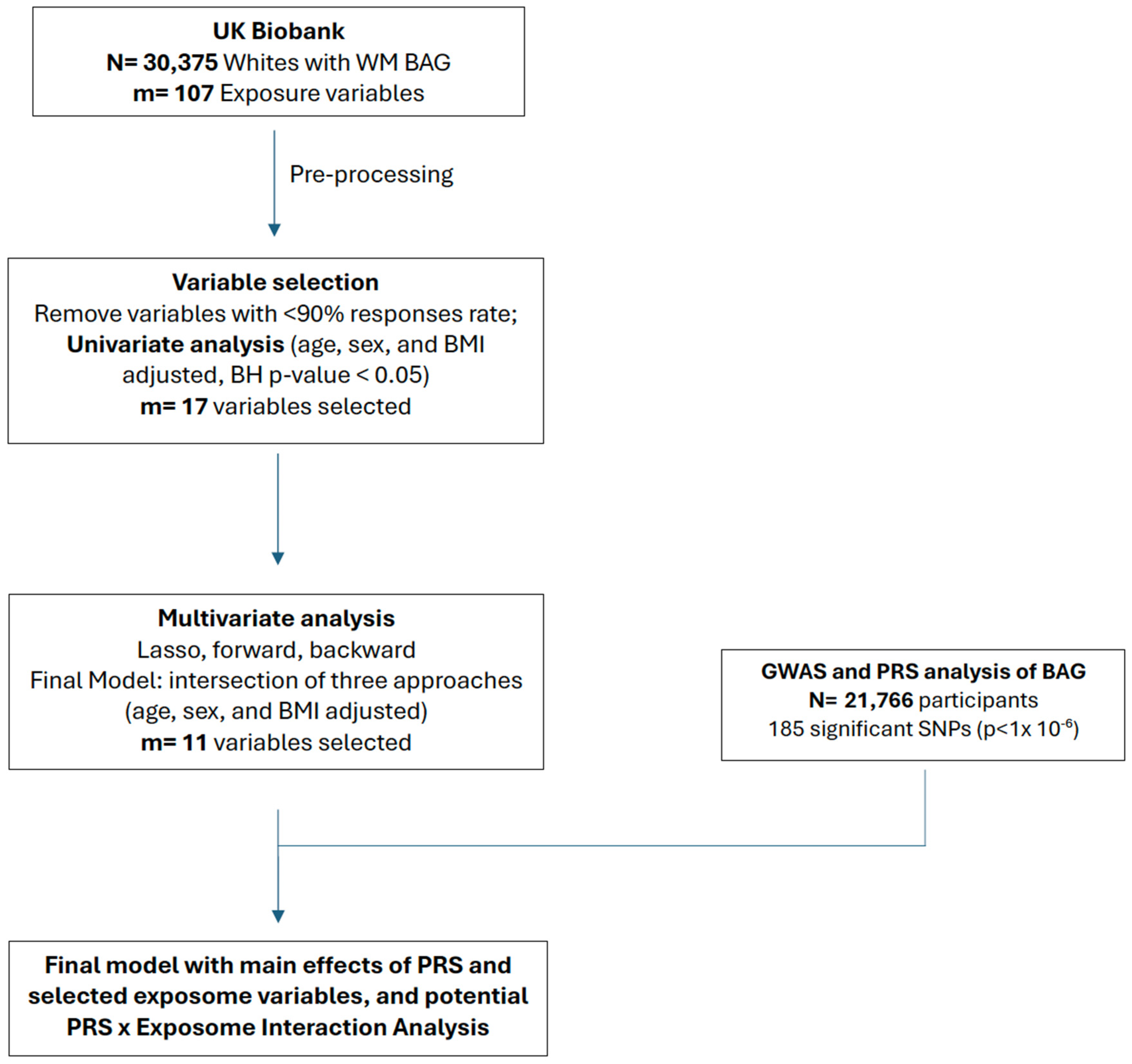 Genes 15 01285 g001