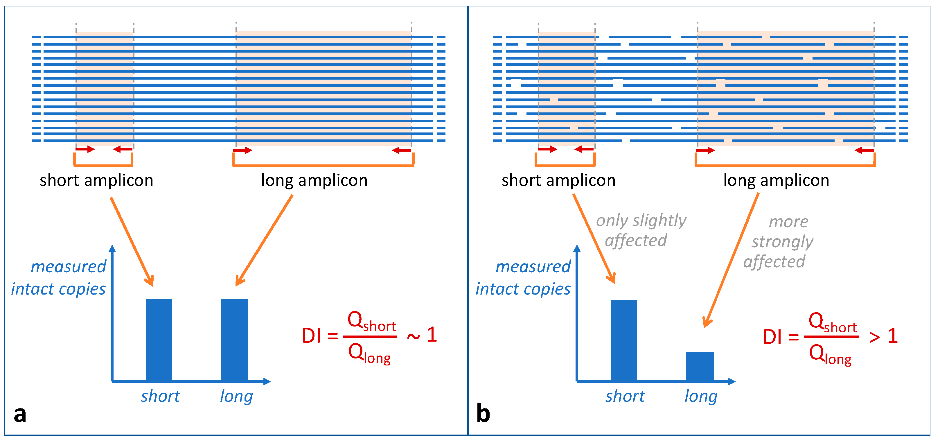 Genes 15 01299 g003 Genes 15 01299 g003