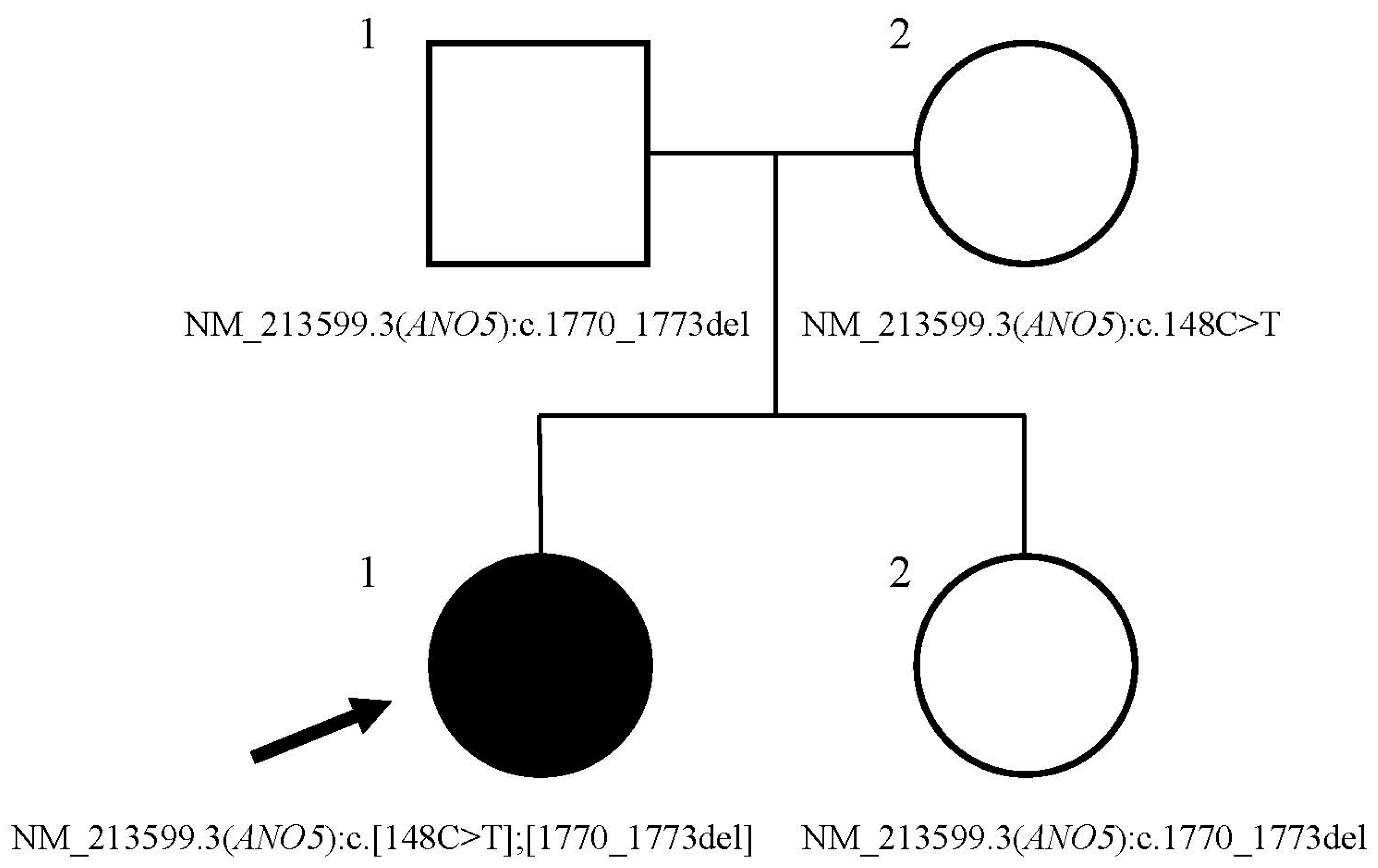 Genes 15 01300 g002 Genes 15 01300 g002