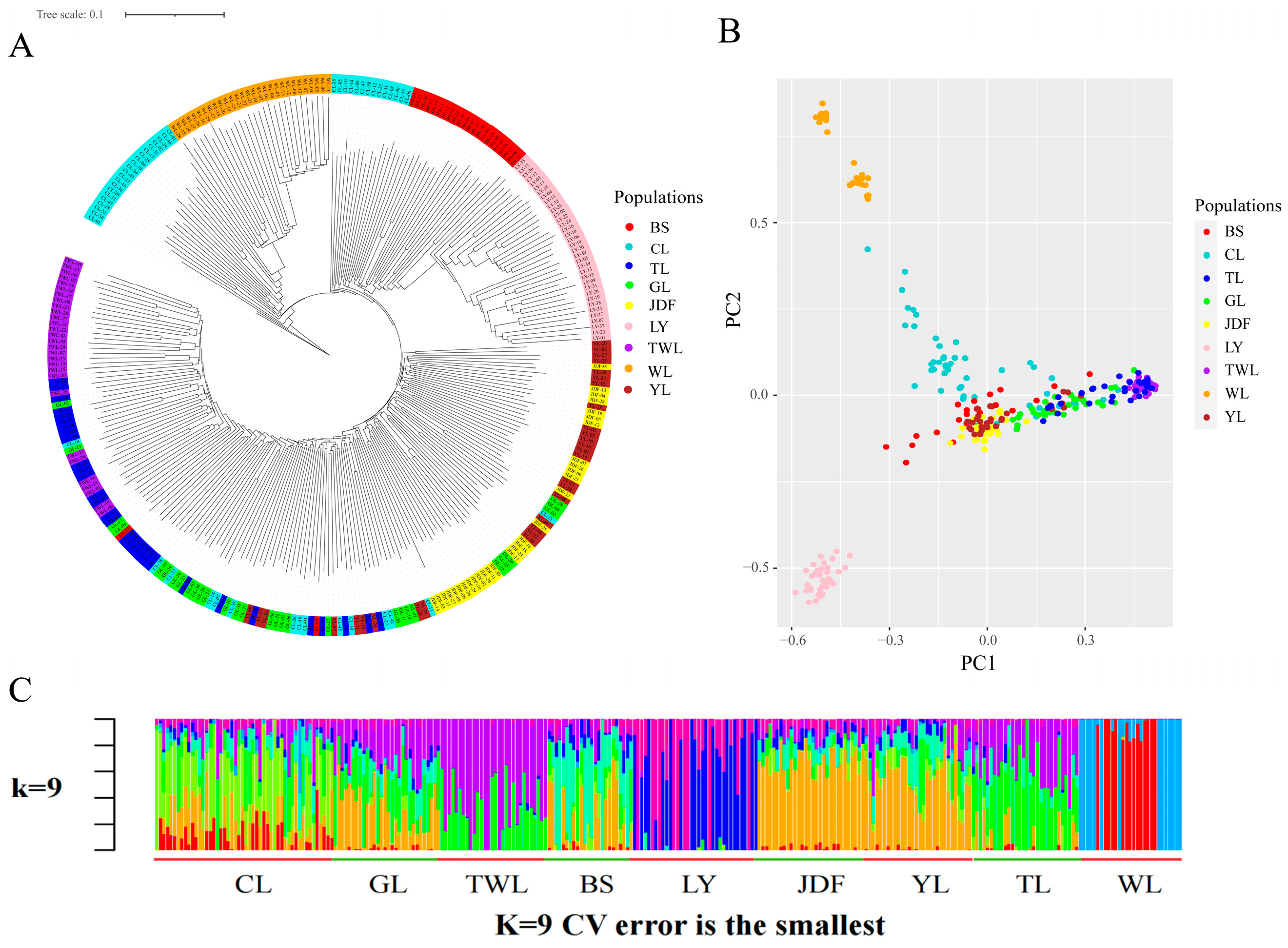 Genes 15 01307 g003