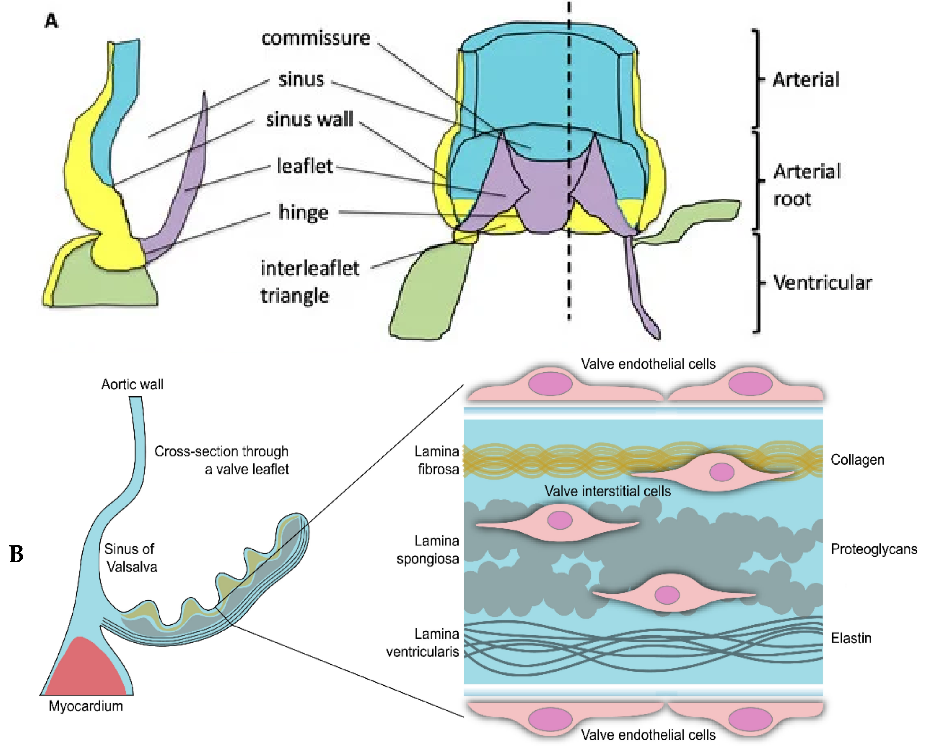 Genes 15 01309 g001 Genes 15 01309 g001