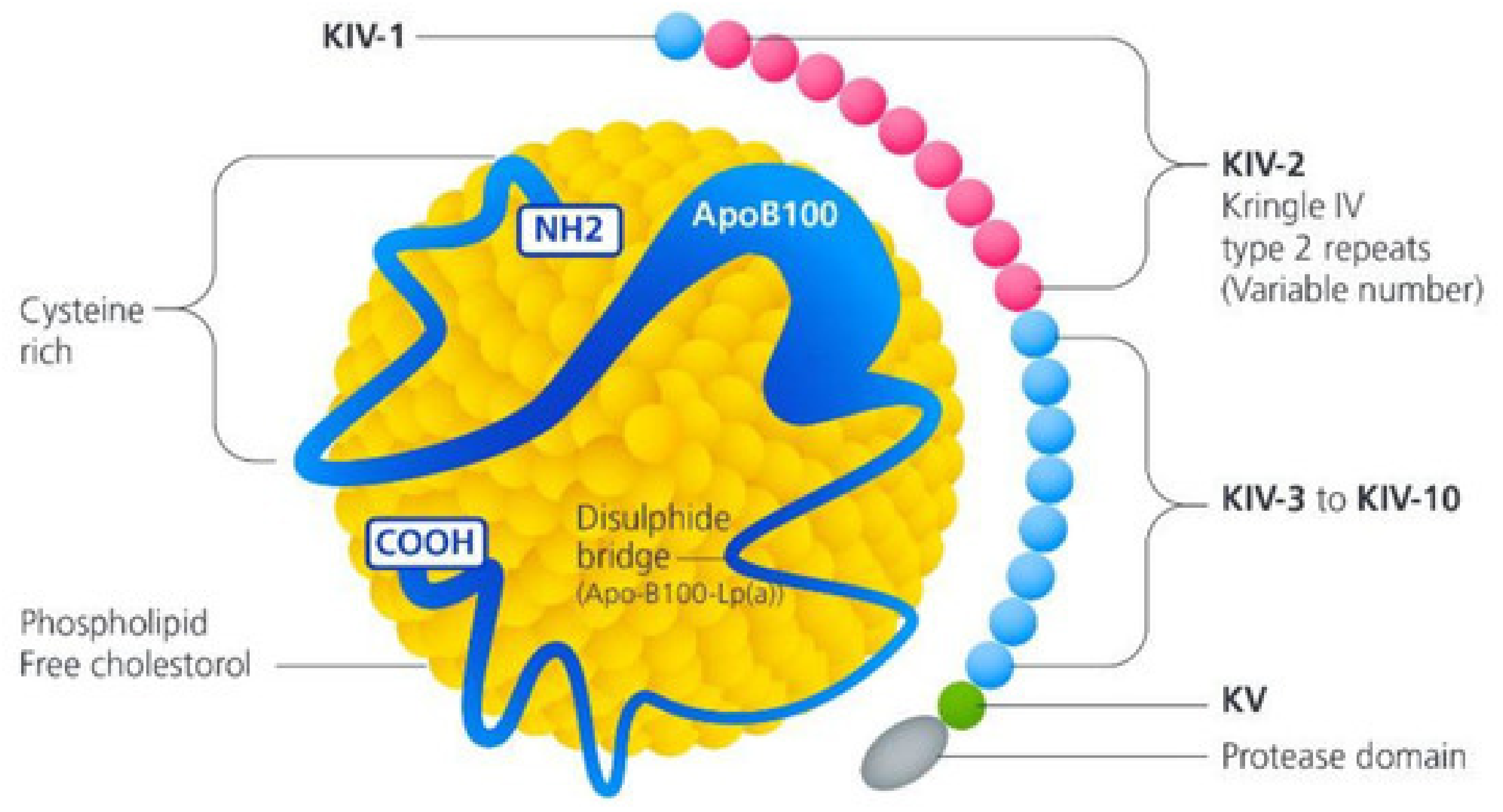 Genes 15 01309 g003 Genes 15 01309 g003