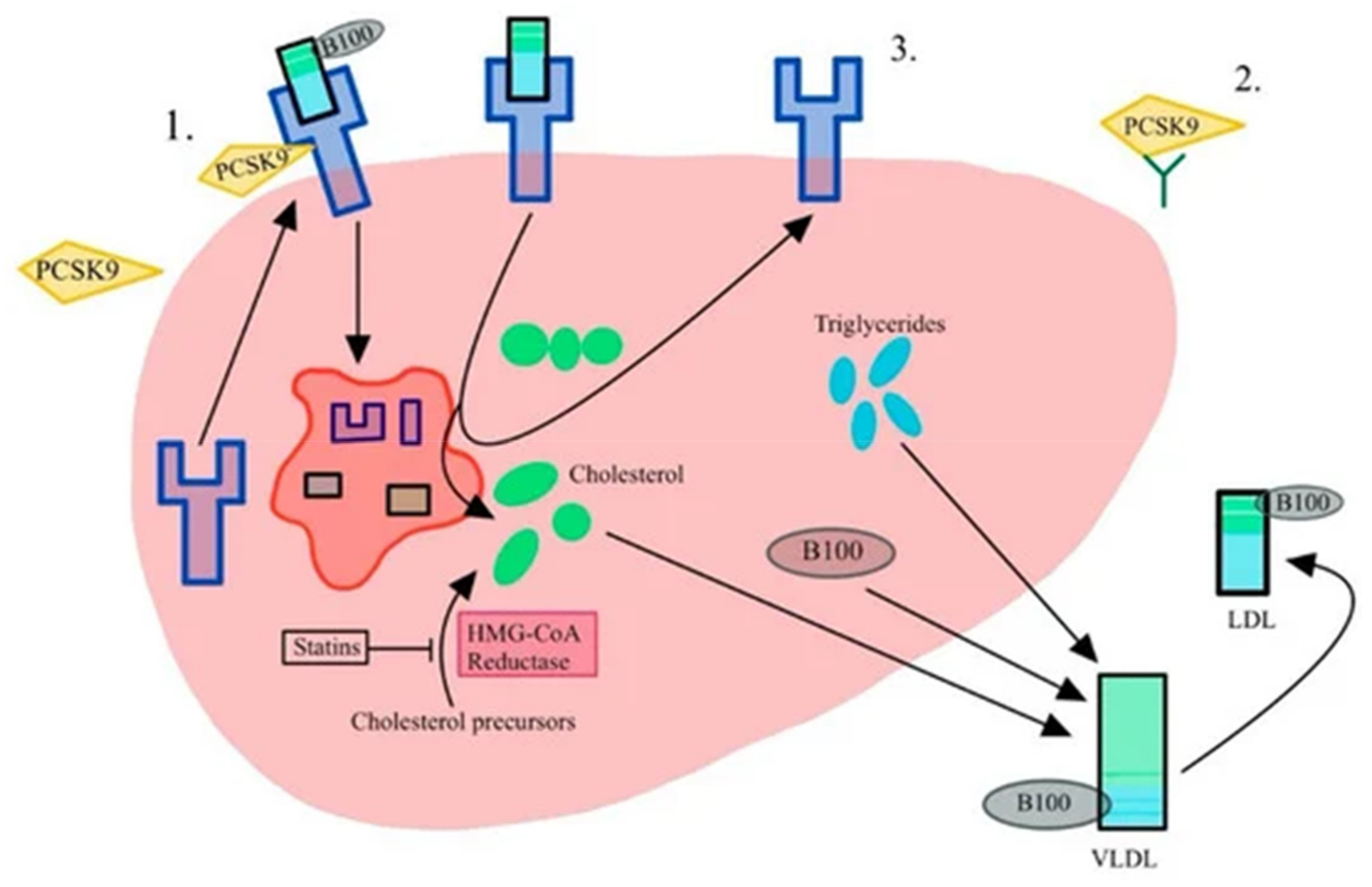 Genes 15 01309 g004 Genes 15 01309 g004