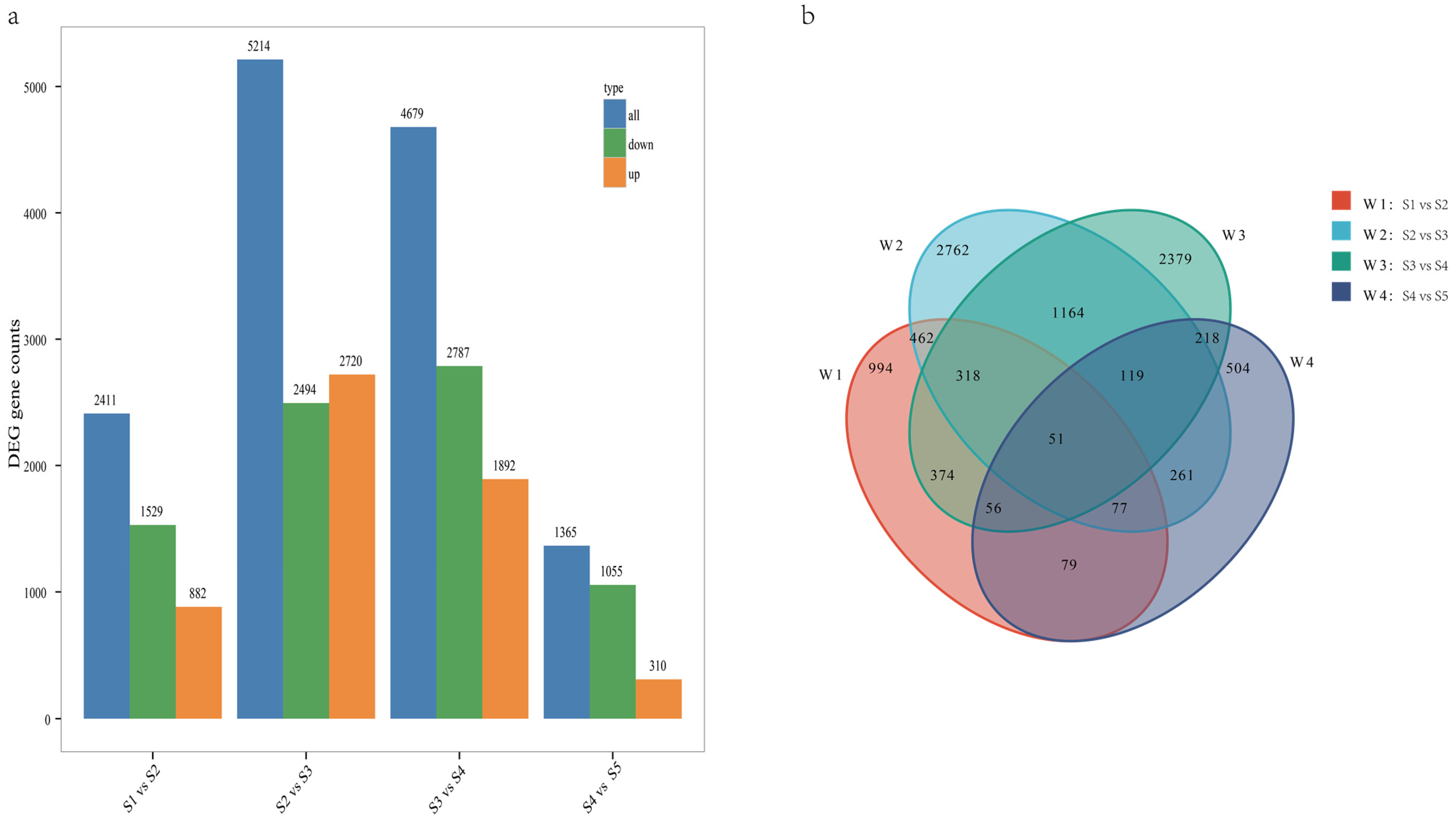 Genes 15 01319 g004