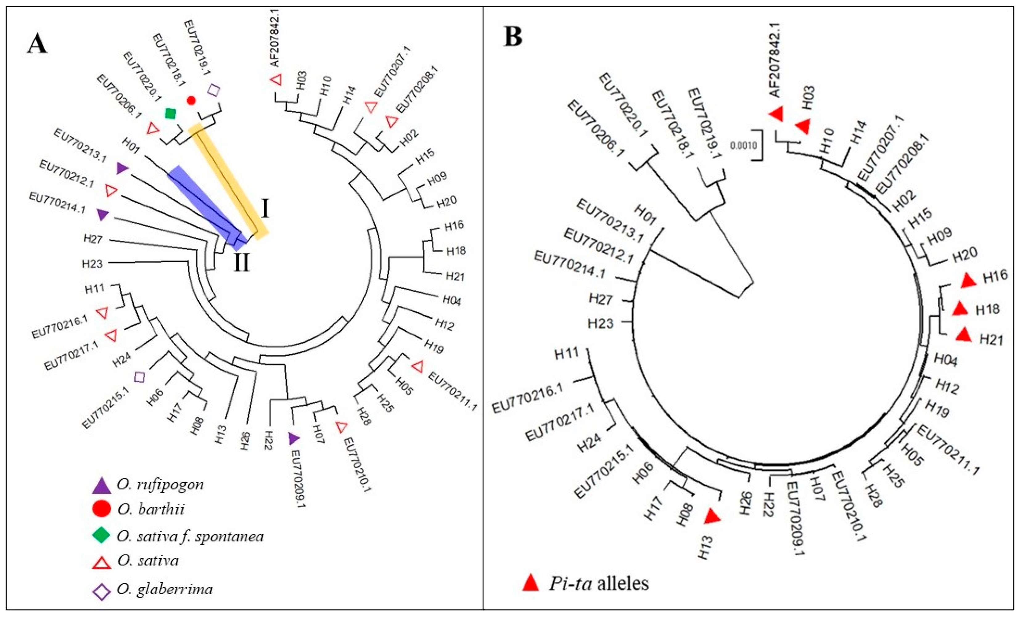 Genes 15 01325 g002