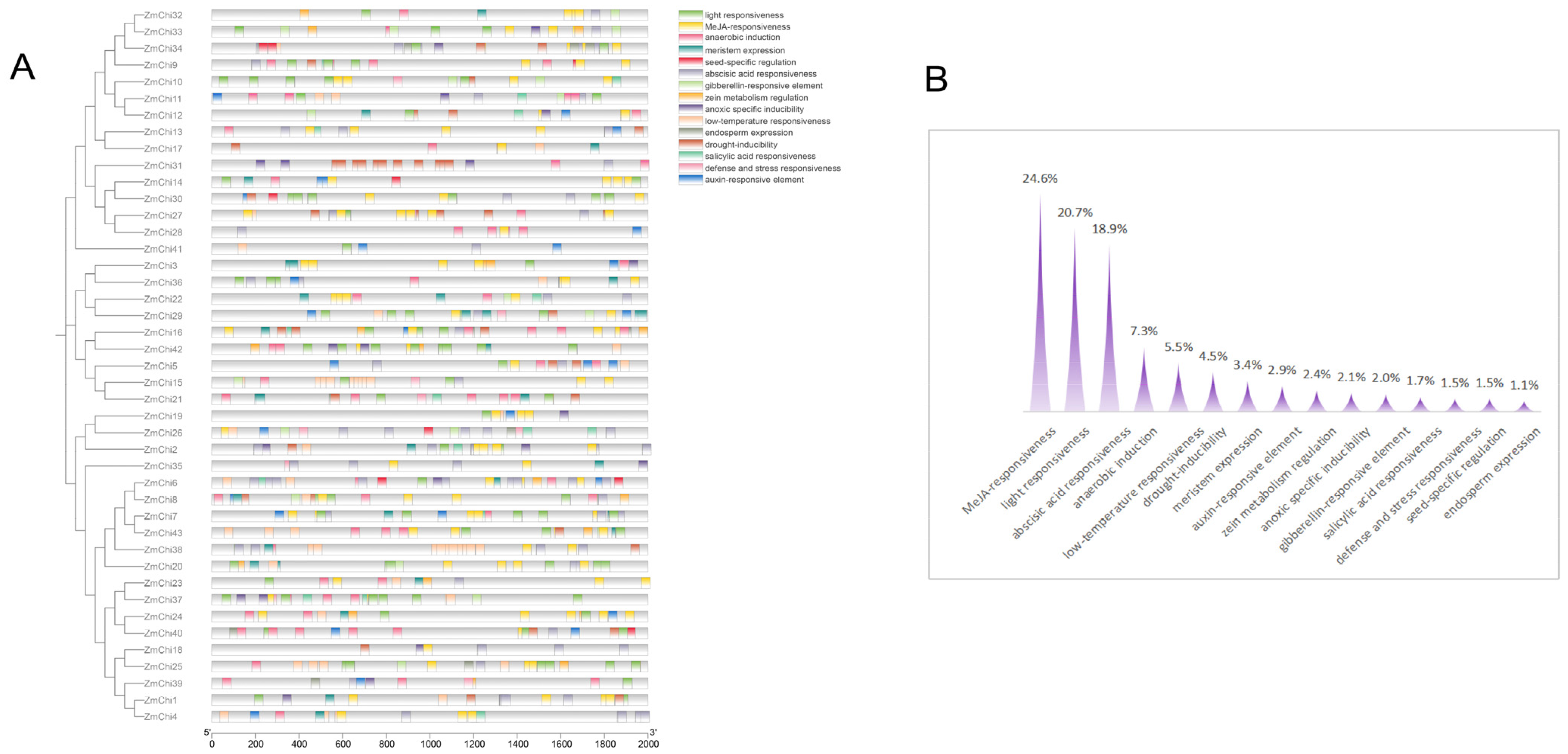 Genes 15 01327 g005