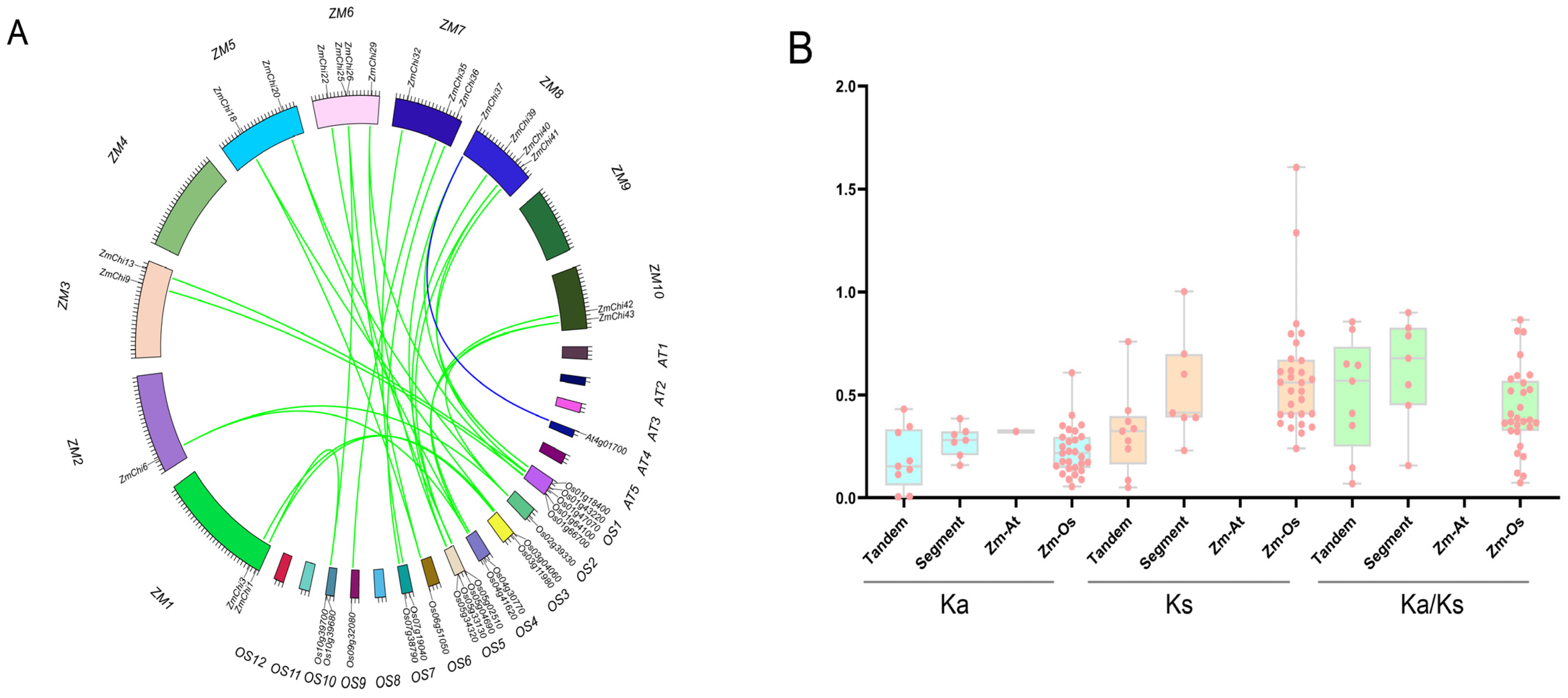 Genes 15 01327 g007