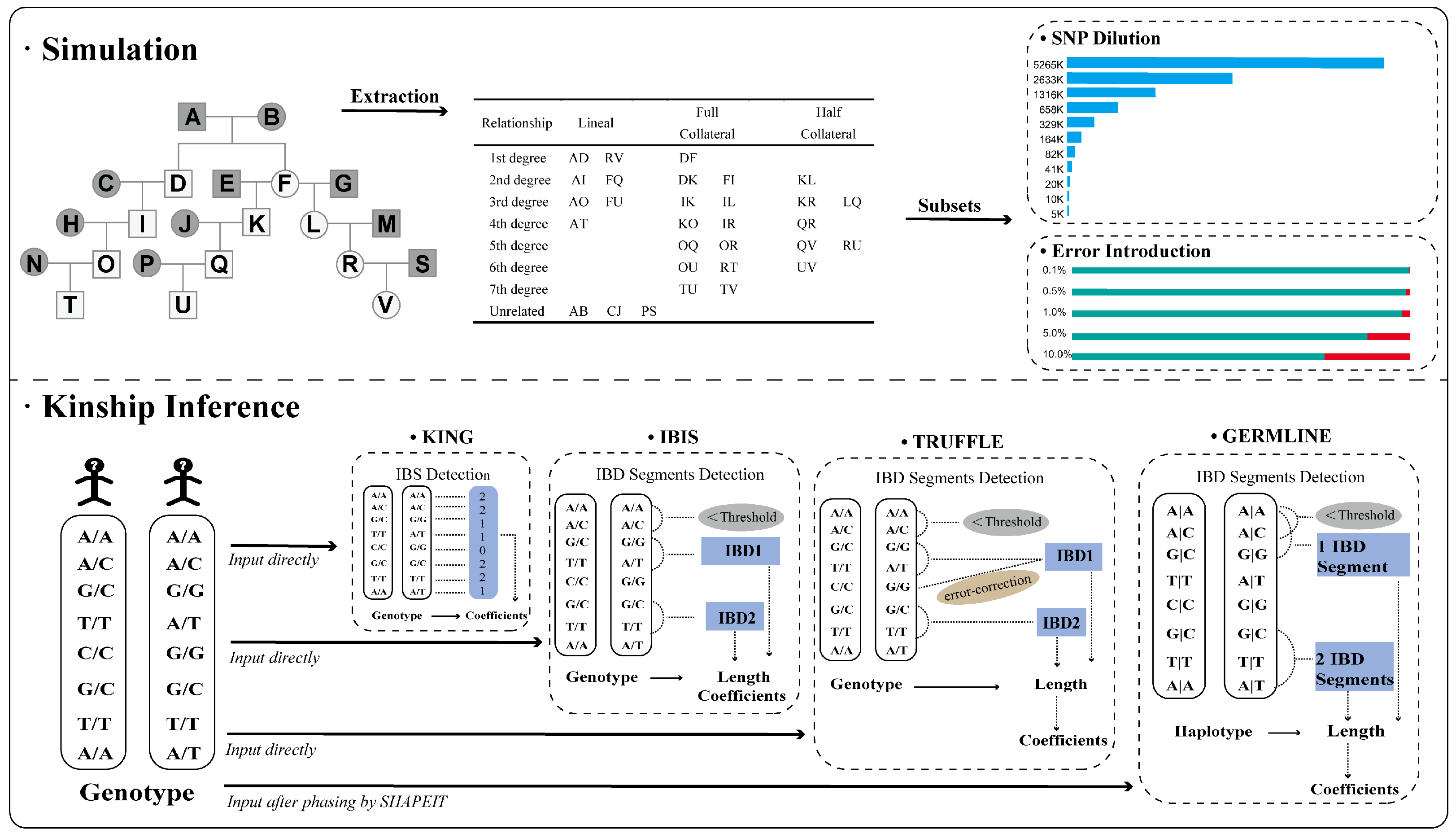 Genes 15 01329 g001