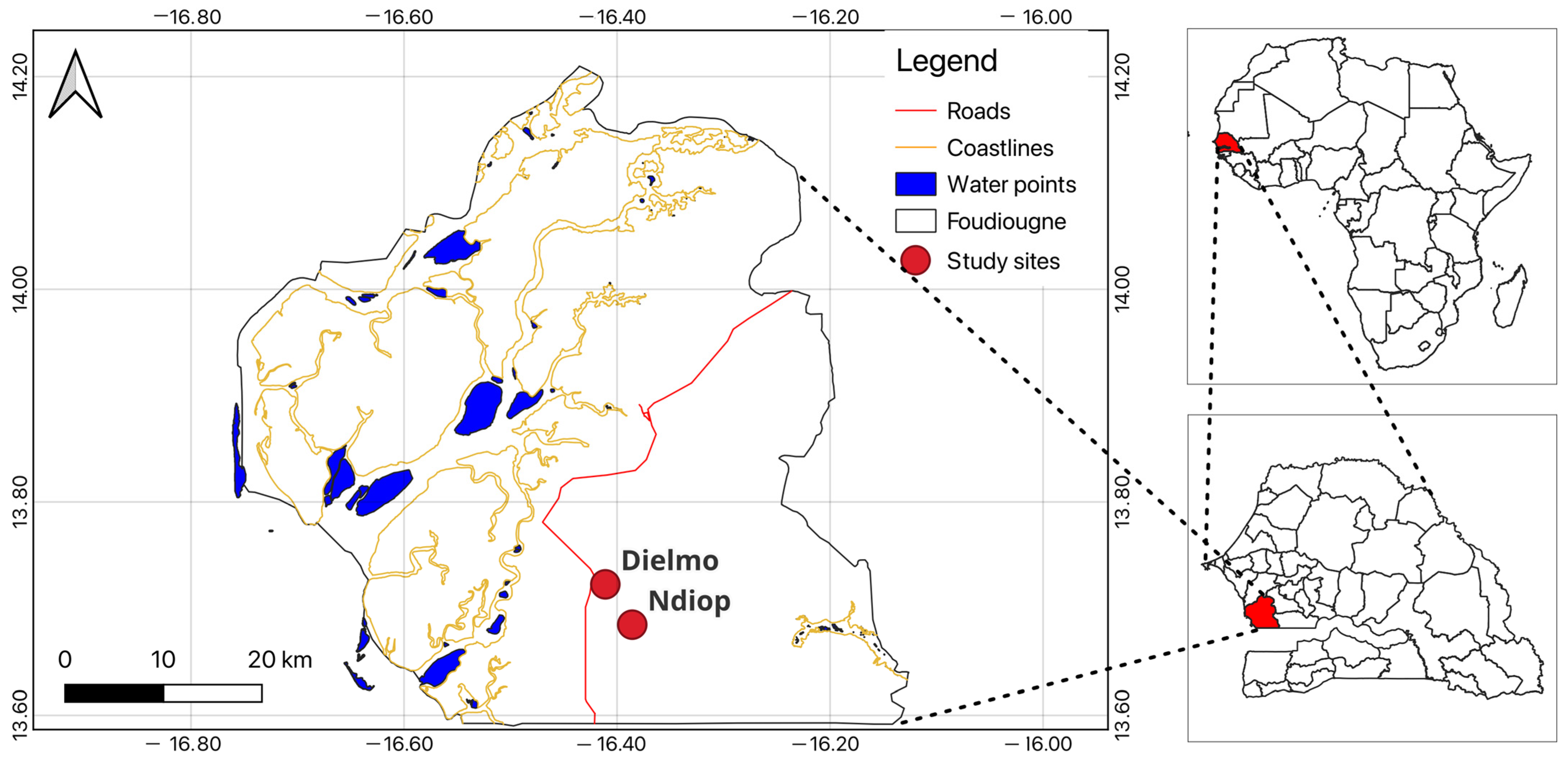 Genes 15 01331 g001 Genes 15 01331 g001