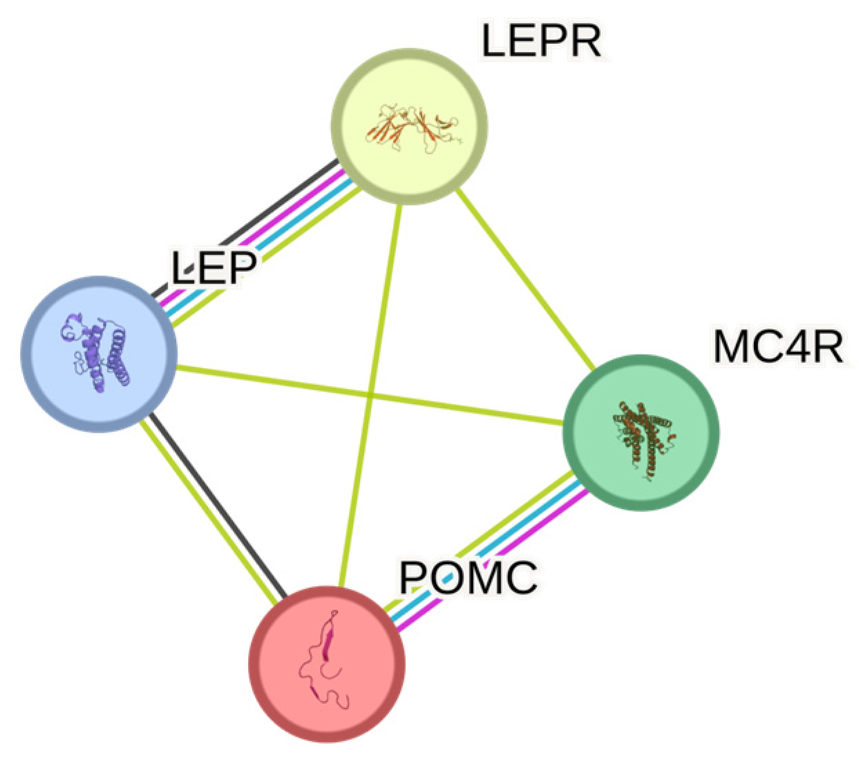 Genes 15 01334 g002 Genes 15 01334 g002