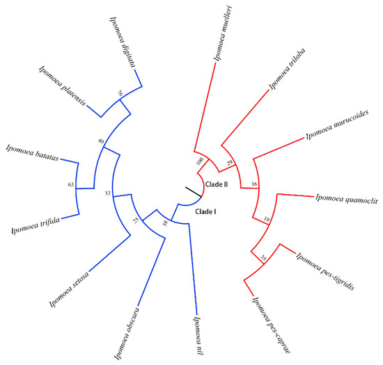 shin Molecularly Imprinted Ratiometric Fluorescence Sensors for