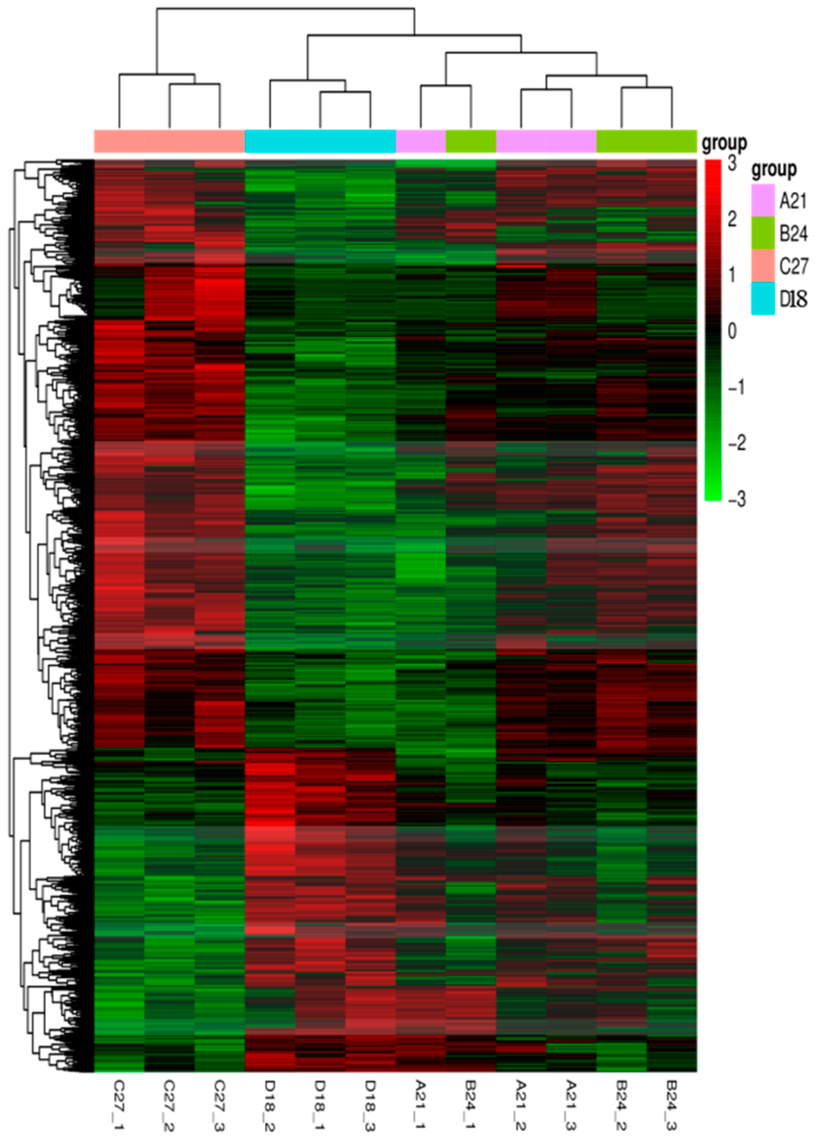Genes 15 01345 g002