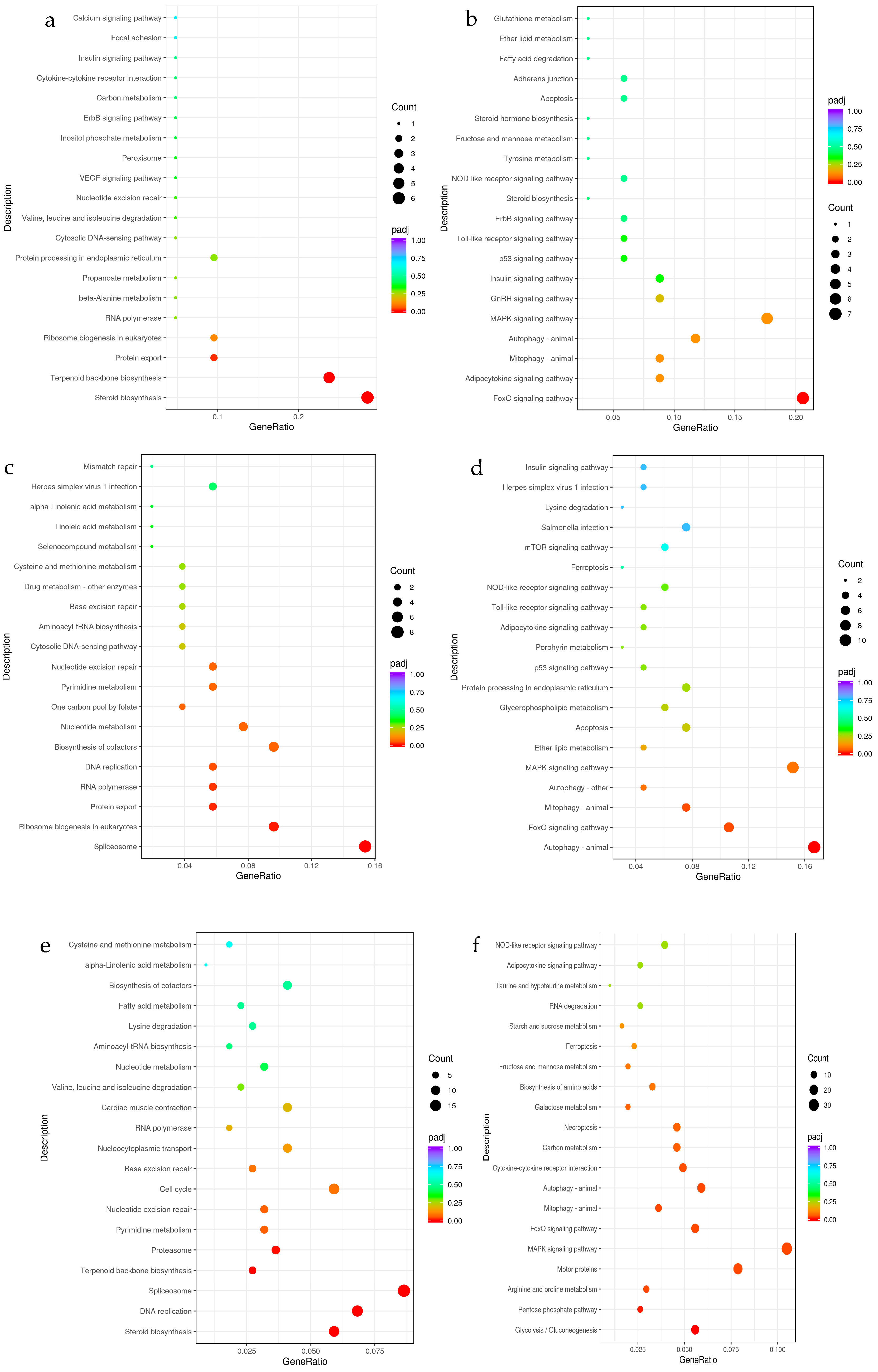 Genes 15 01345 g006