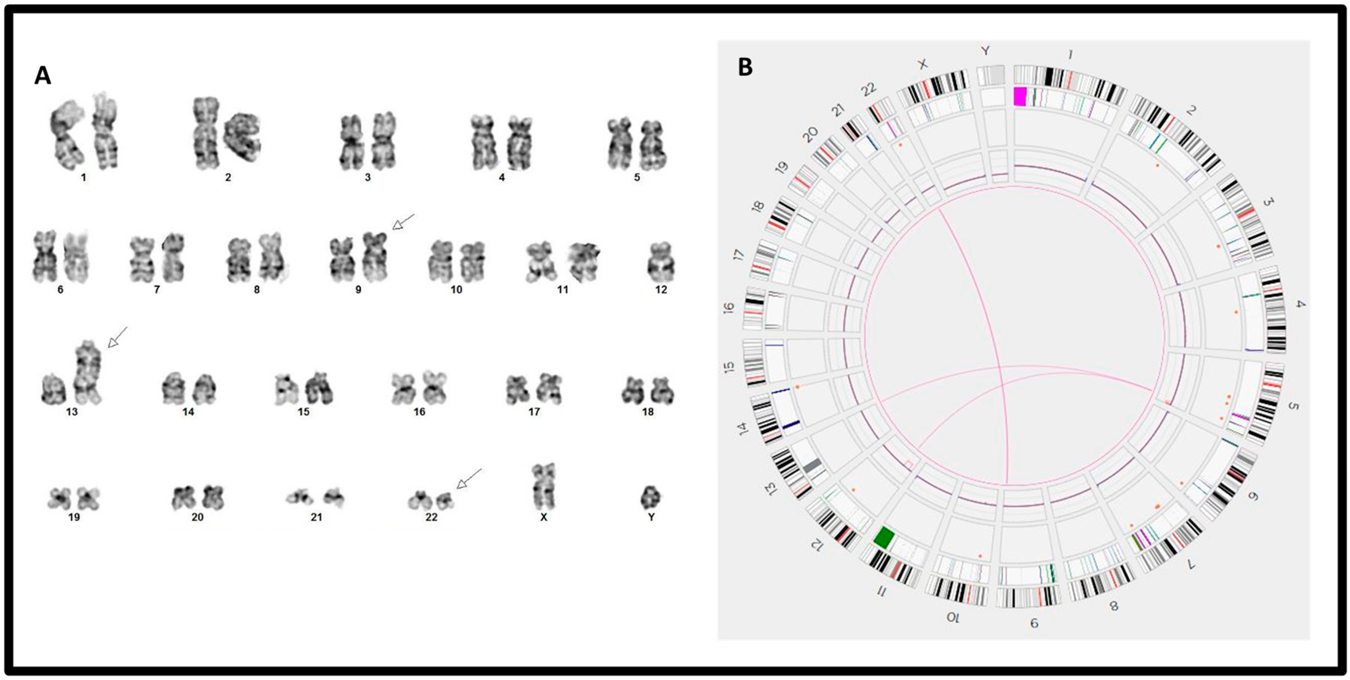 Genes 15 01357 g003