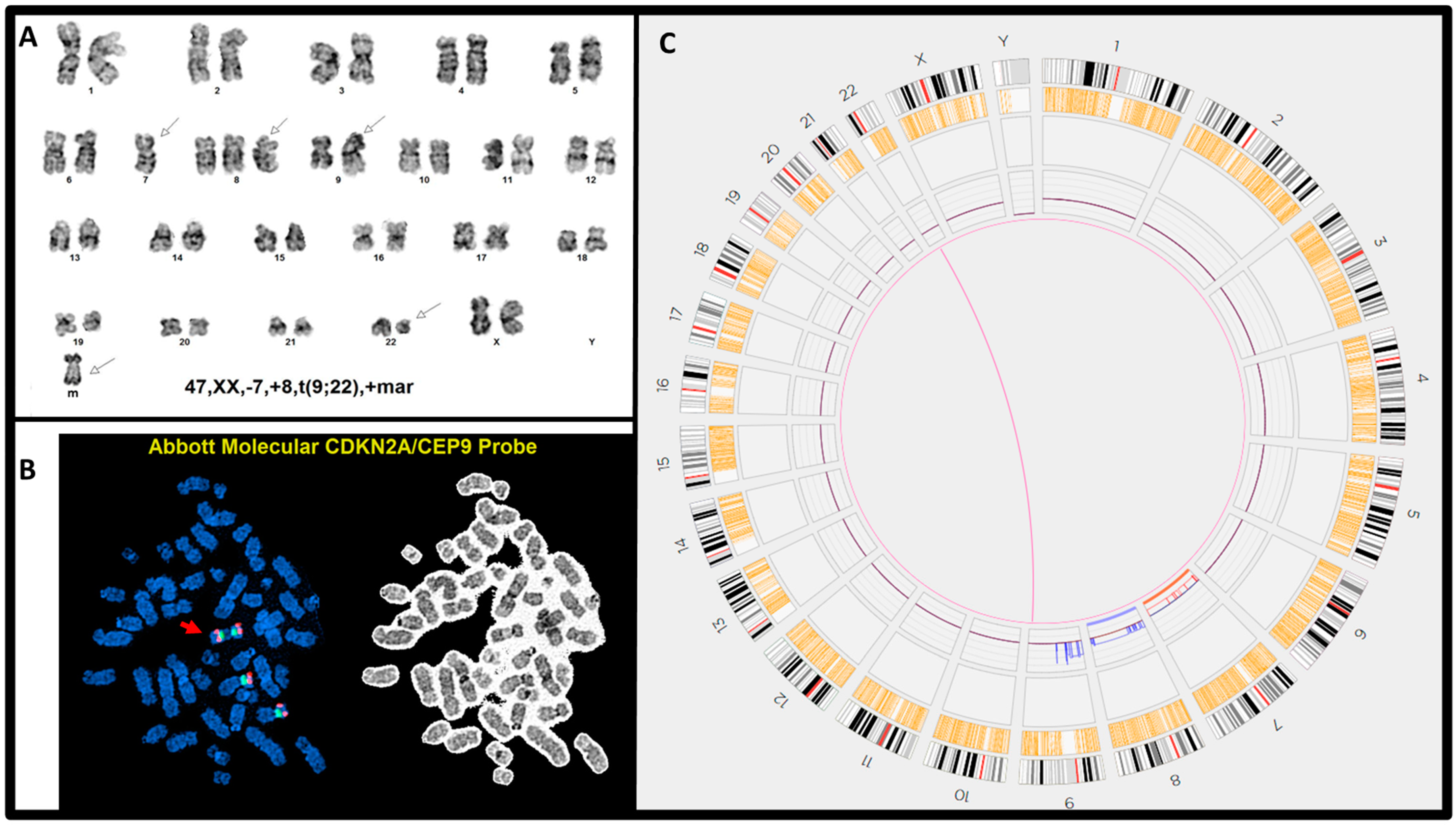 Genes 15 01357 g004