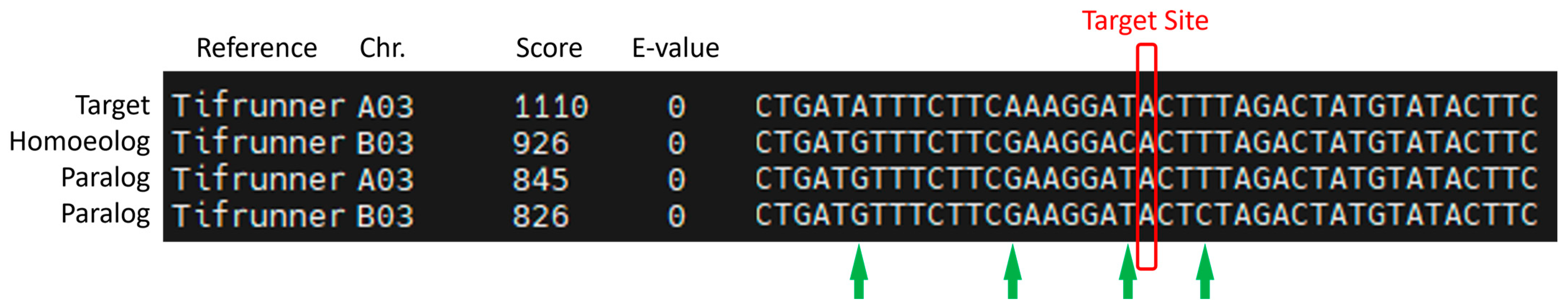 Genes 15 01364 g002