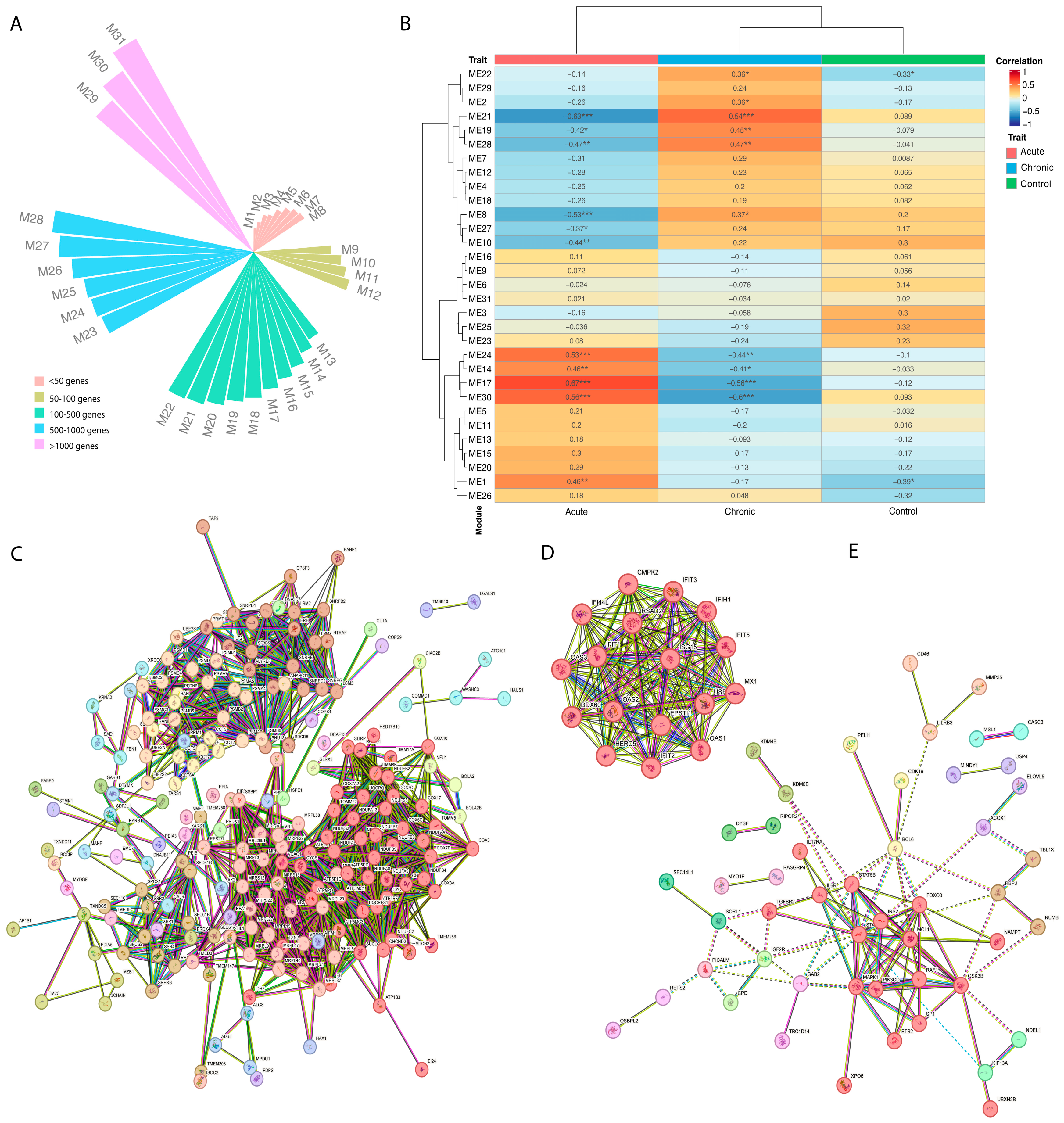 Genes 15 01365 g002 Genes 15 01365 g002