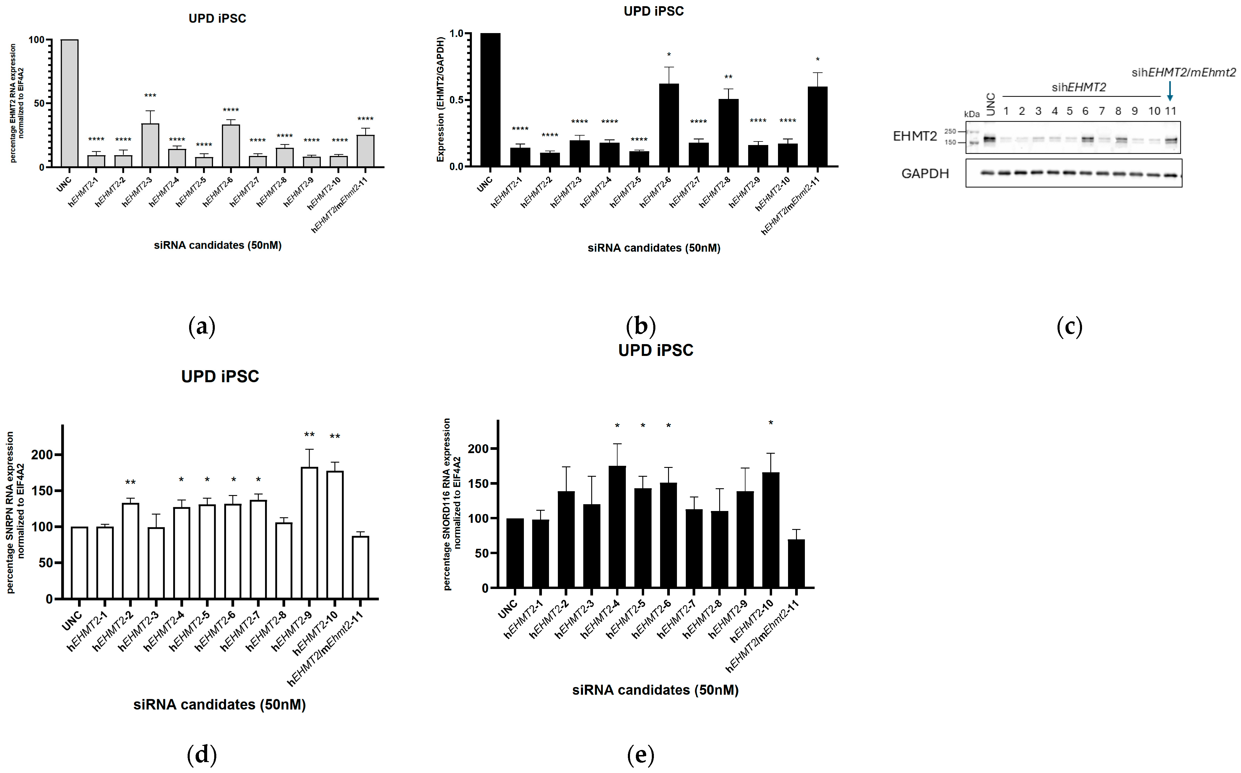 Genes 15 01366 g001 Genes 15 01366 g001