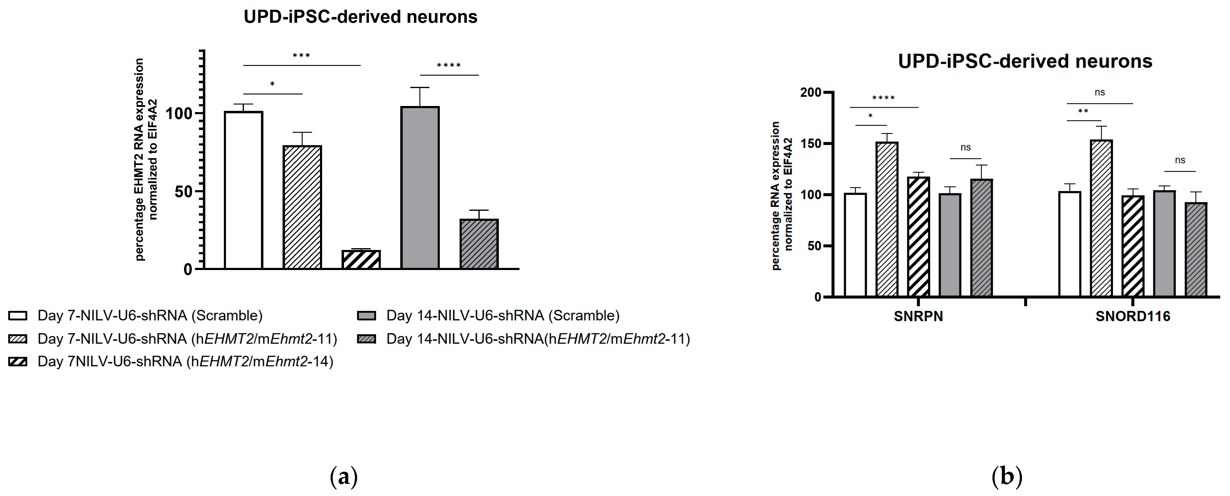 Genes 15 01366 g004 Genes 15 01366 g004