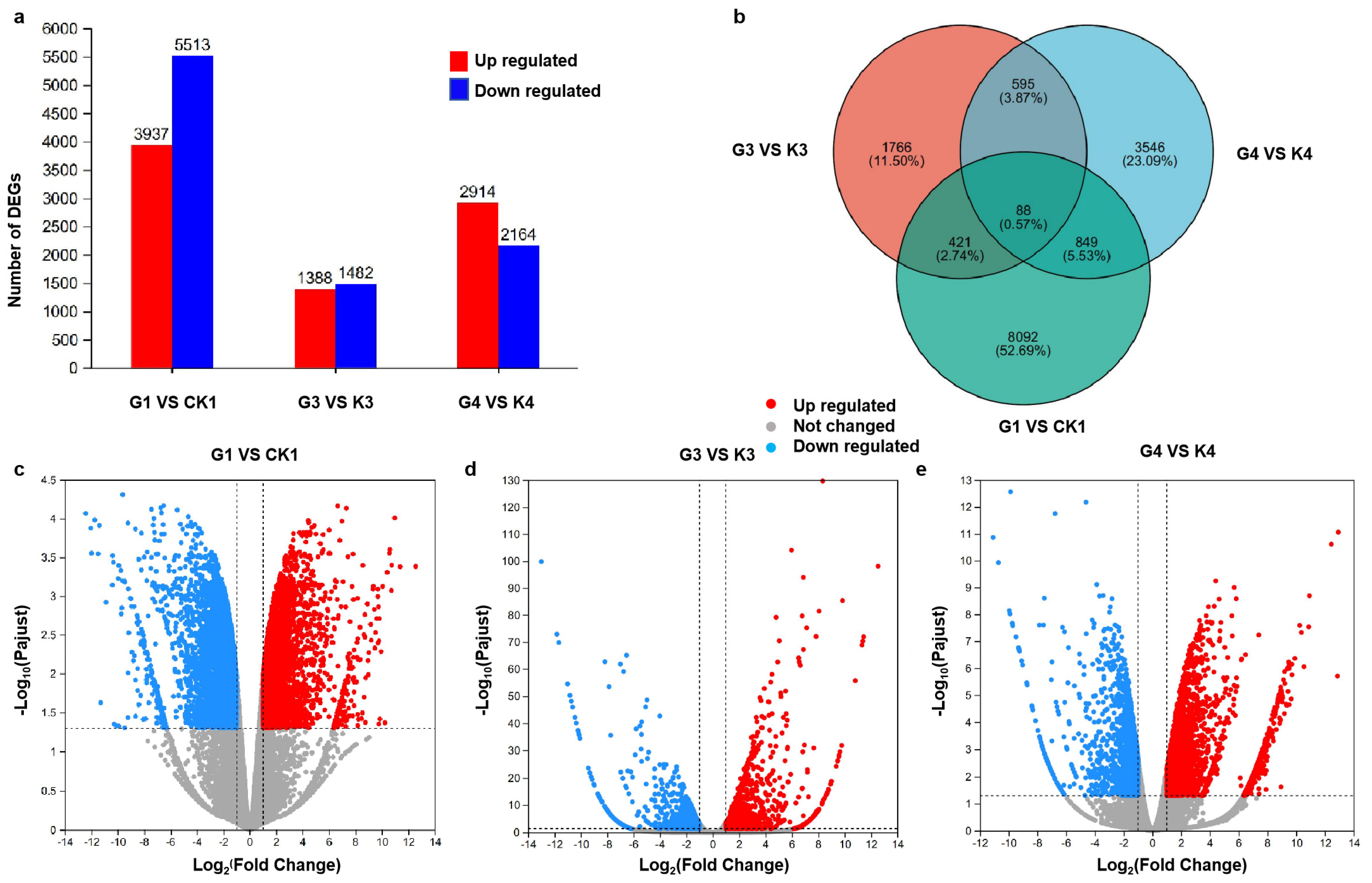 Genes 15 01371 g003