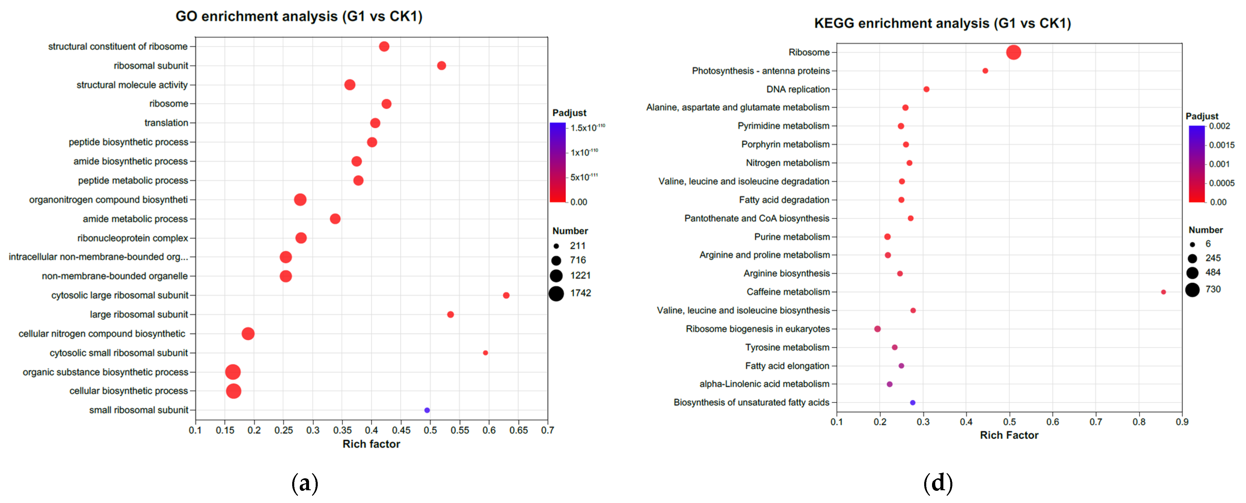 Genes 15 01371 g004a