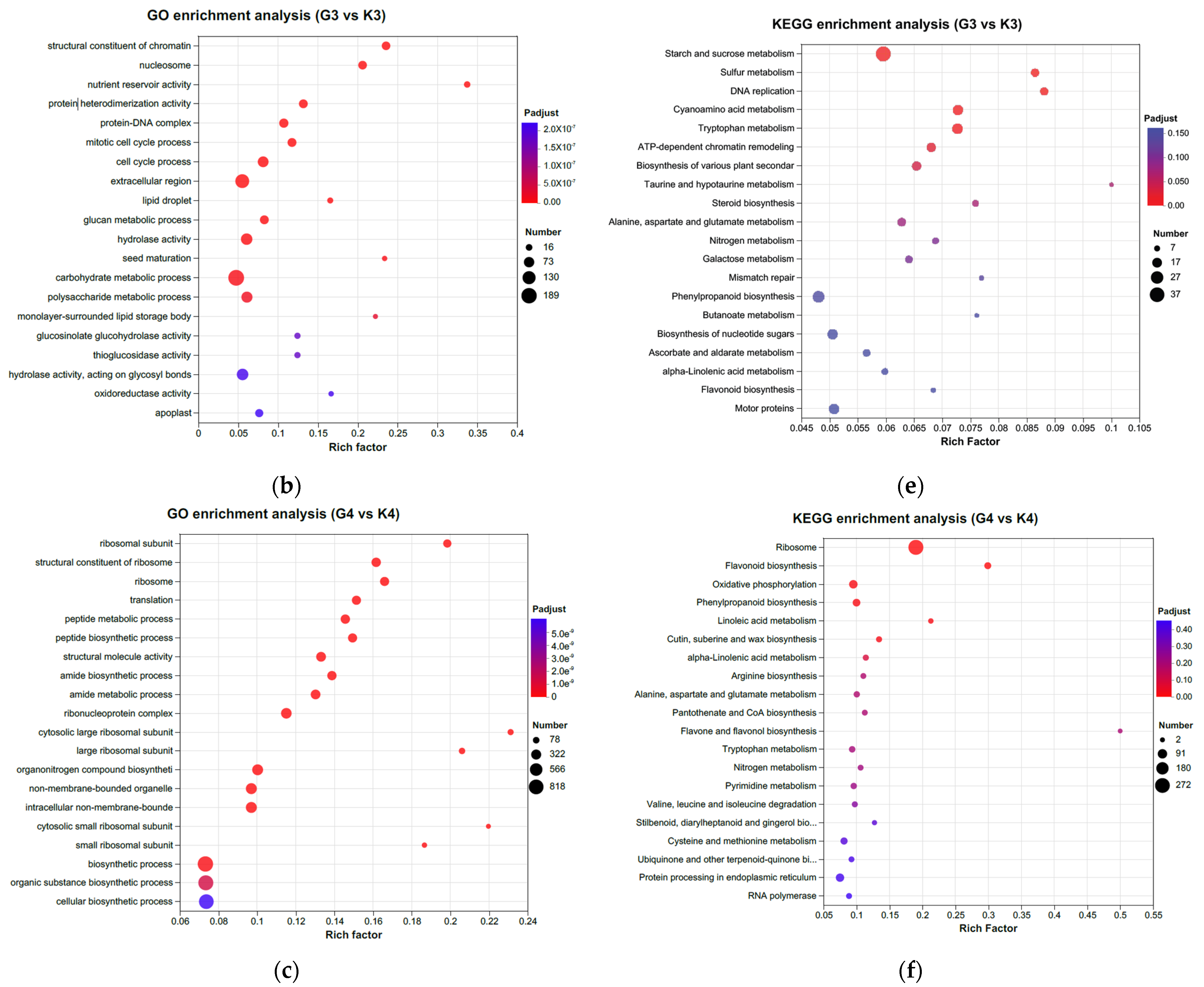 Genes 15 01371 g004b