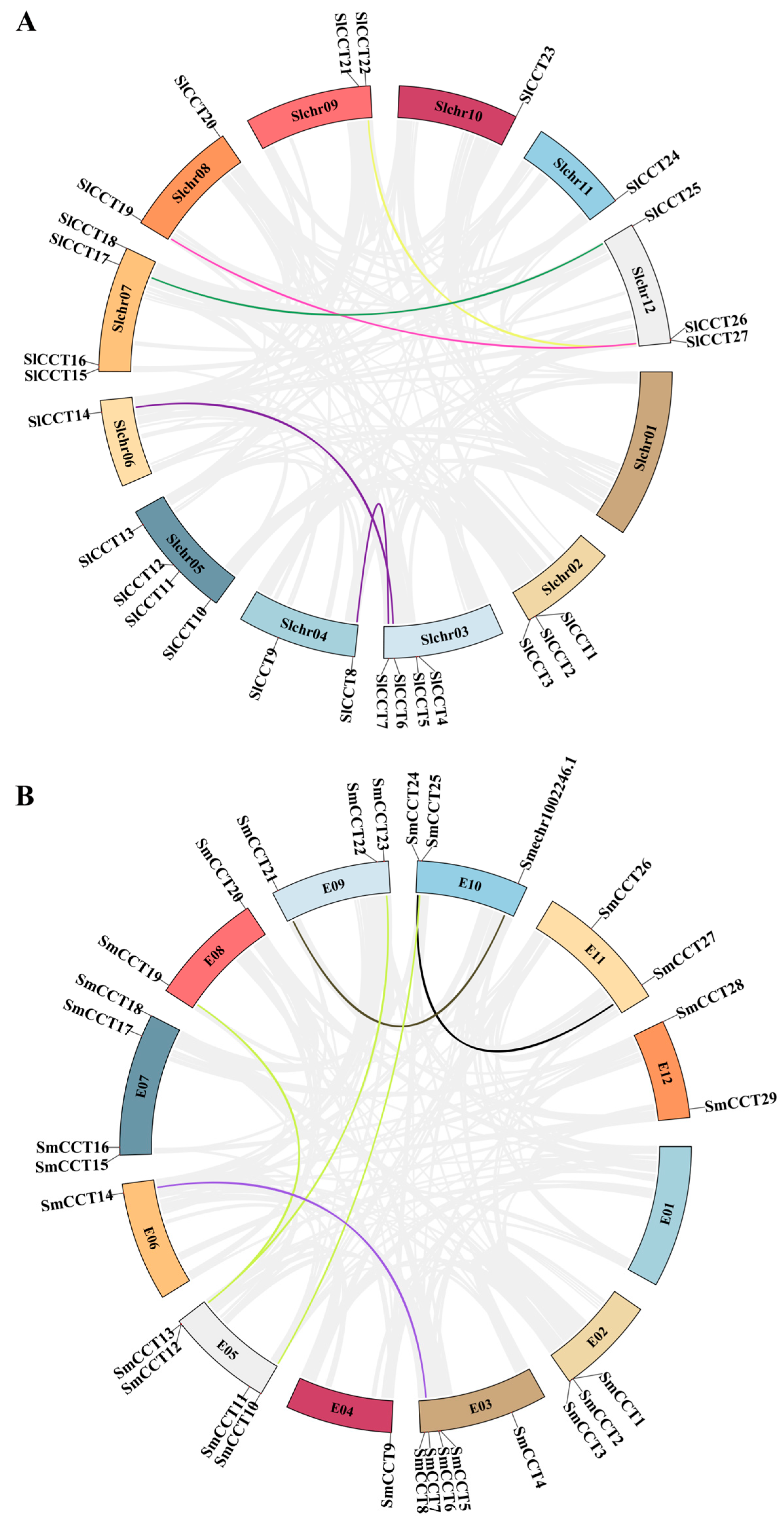 Genes 15 01385 g003