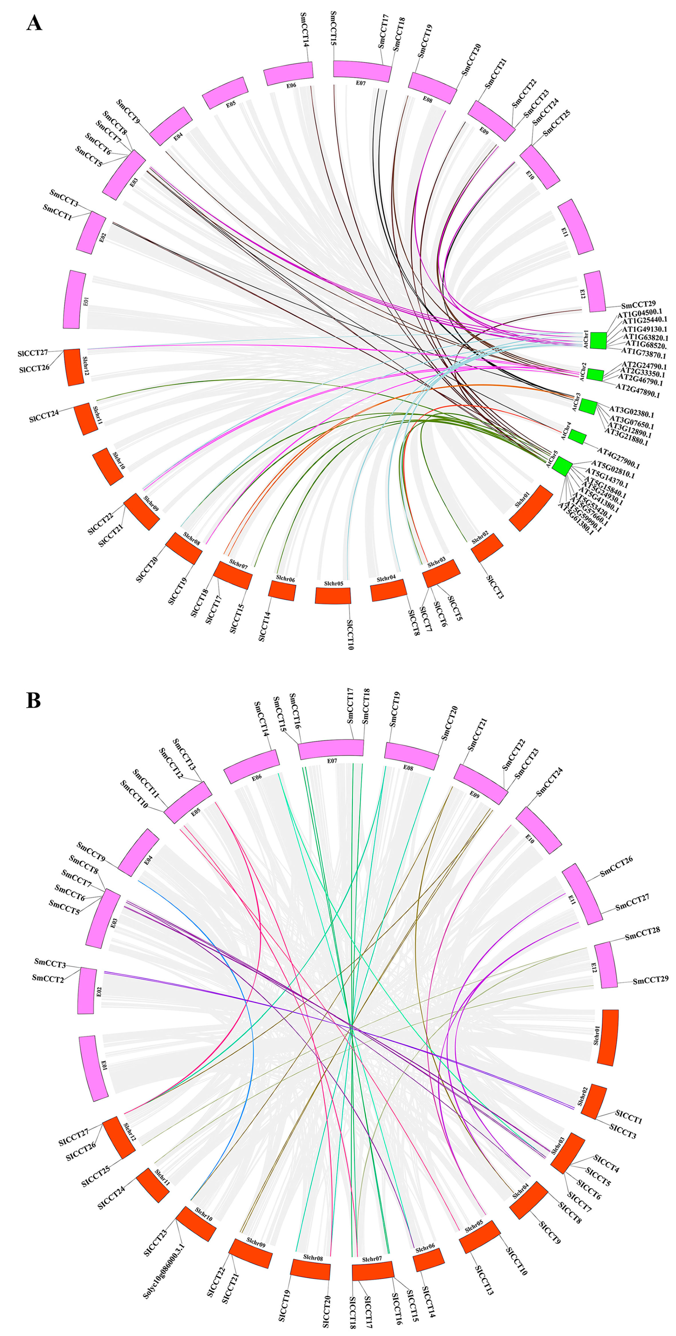 Genes 15 01385 g004