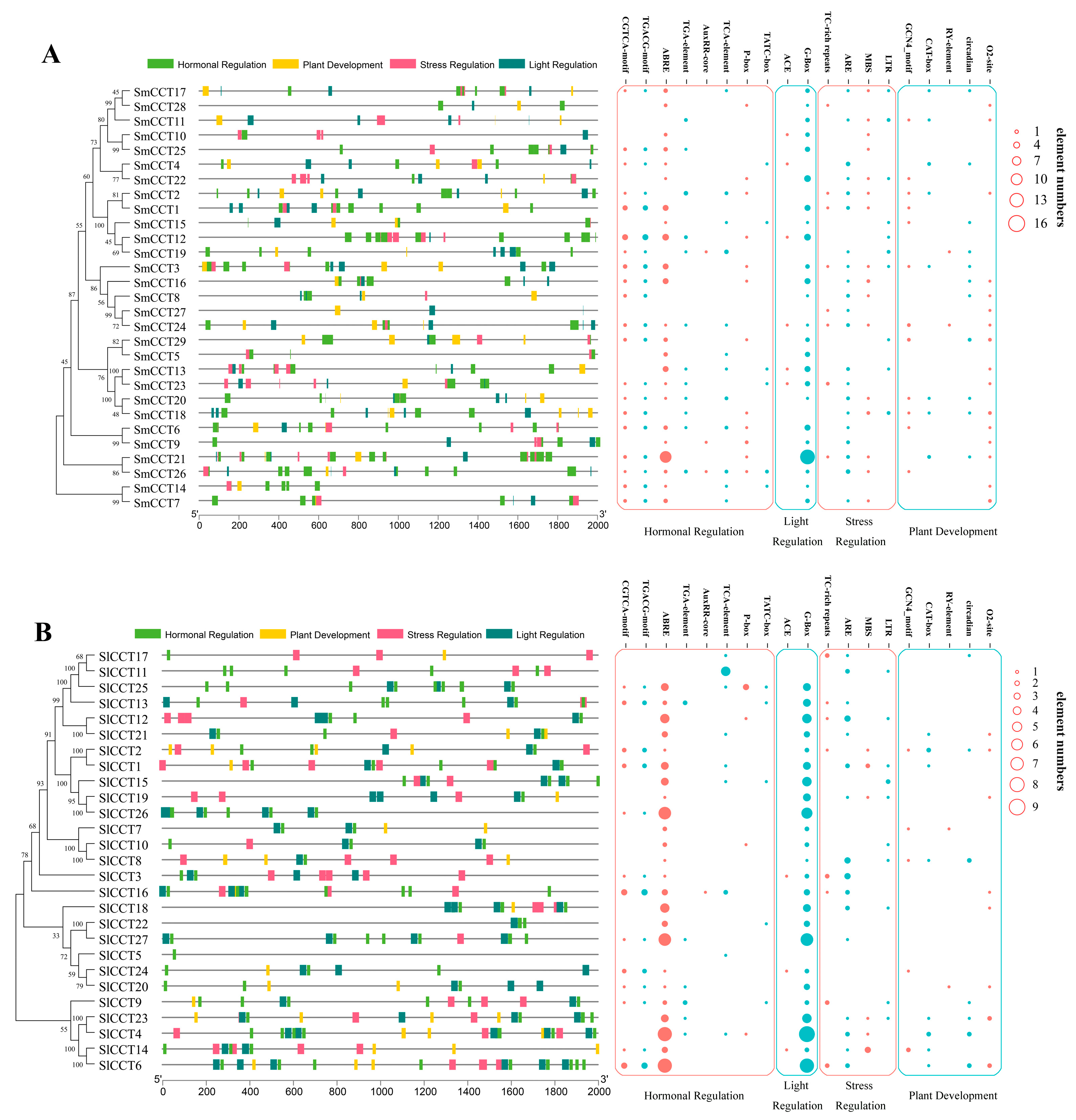 Genes 15 01385 g005