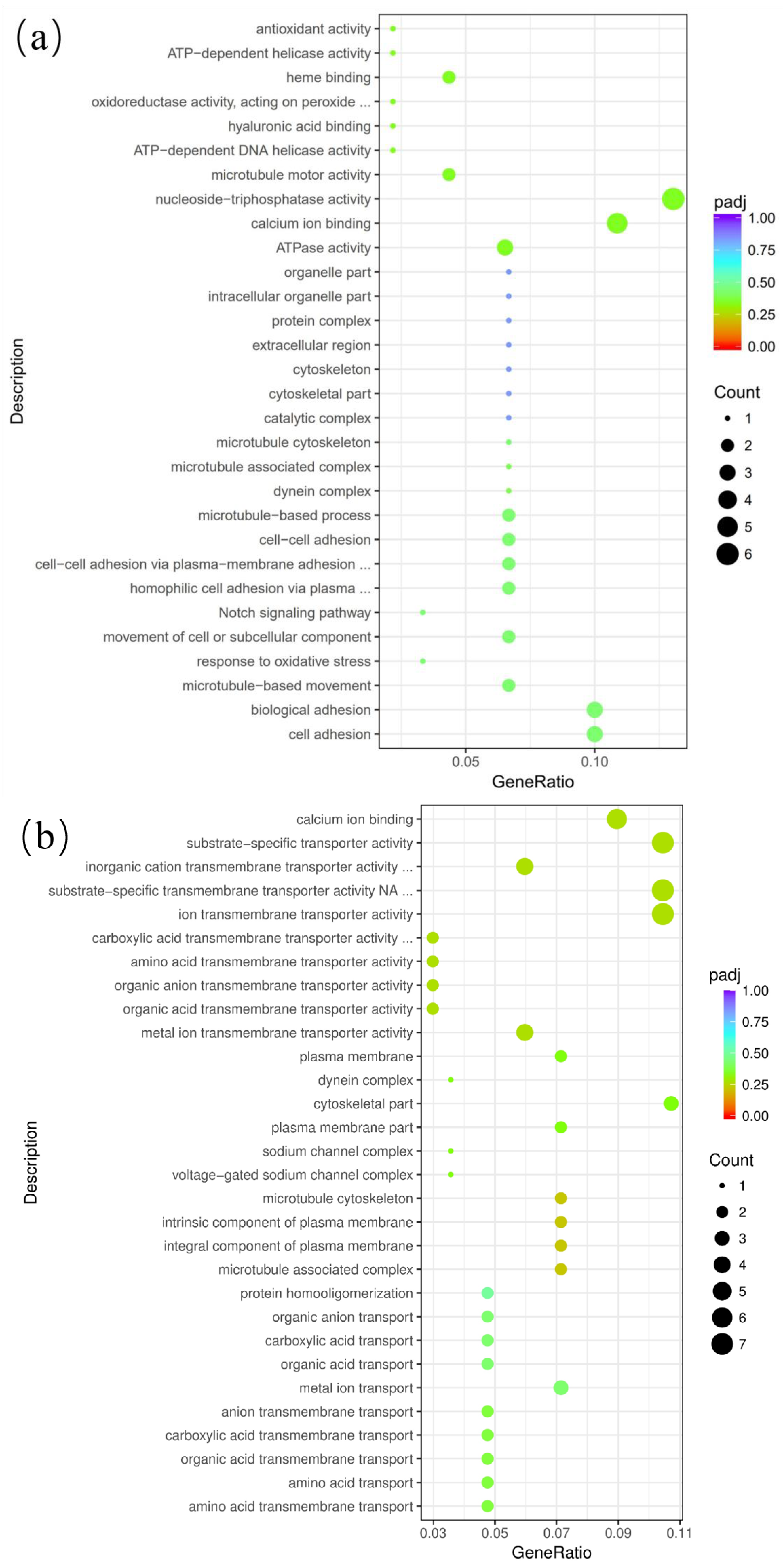 Genes 15 01394 g007a