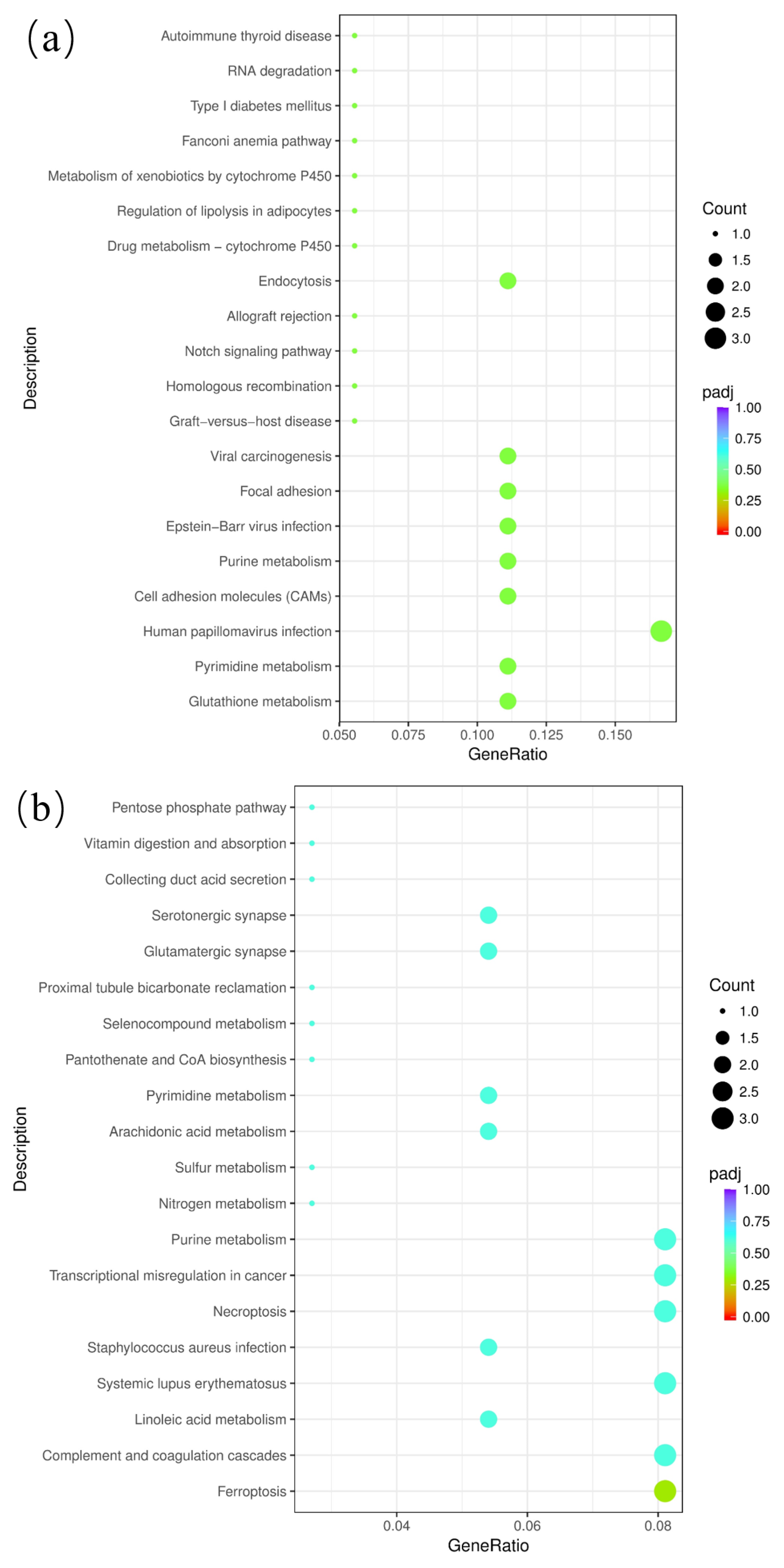Genes 15 01394 g008a