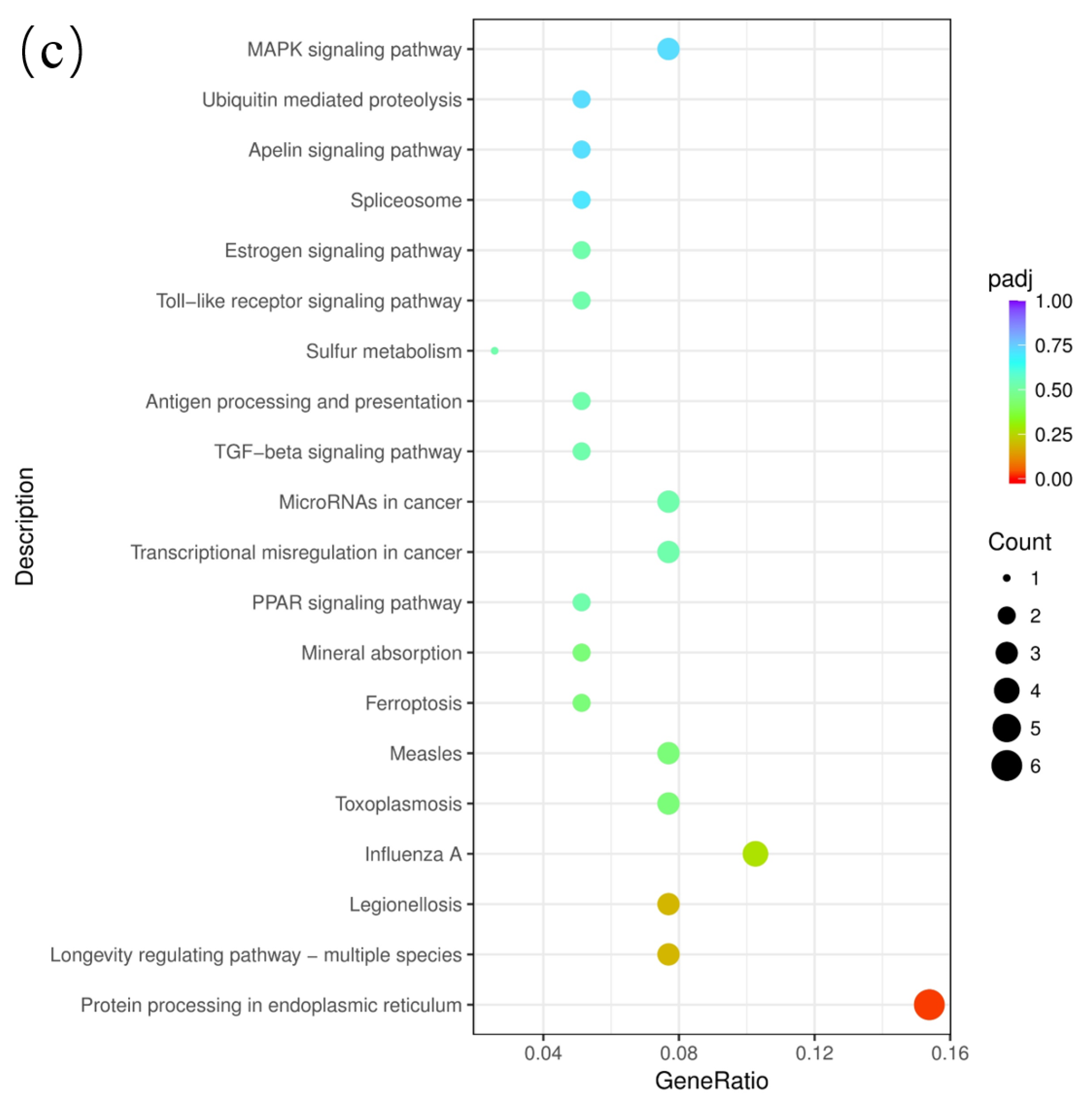 Genes 15 01394 g008b