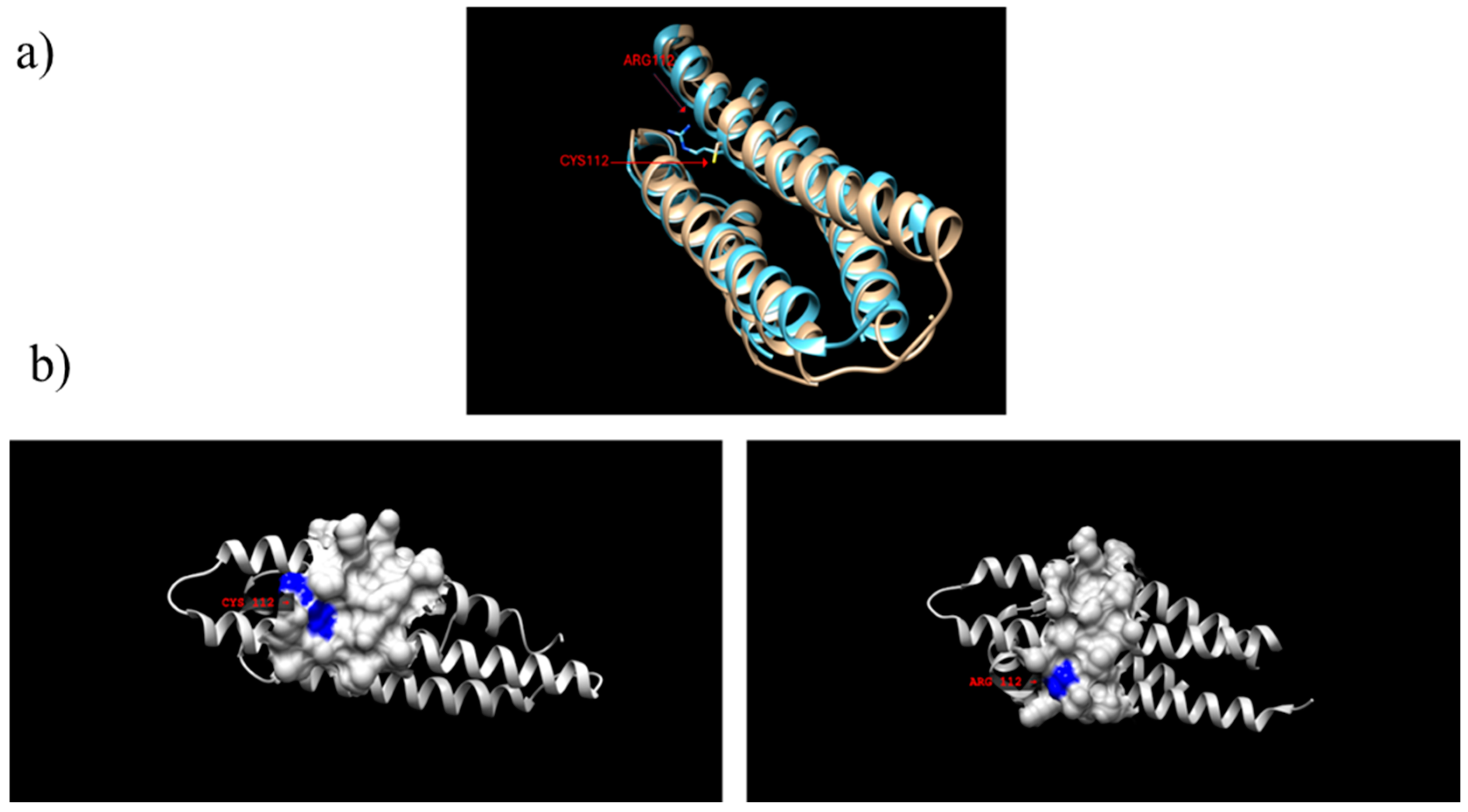 Genes 15 01397 g002 Genes 15 01397 g002