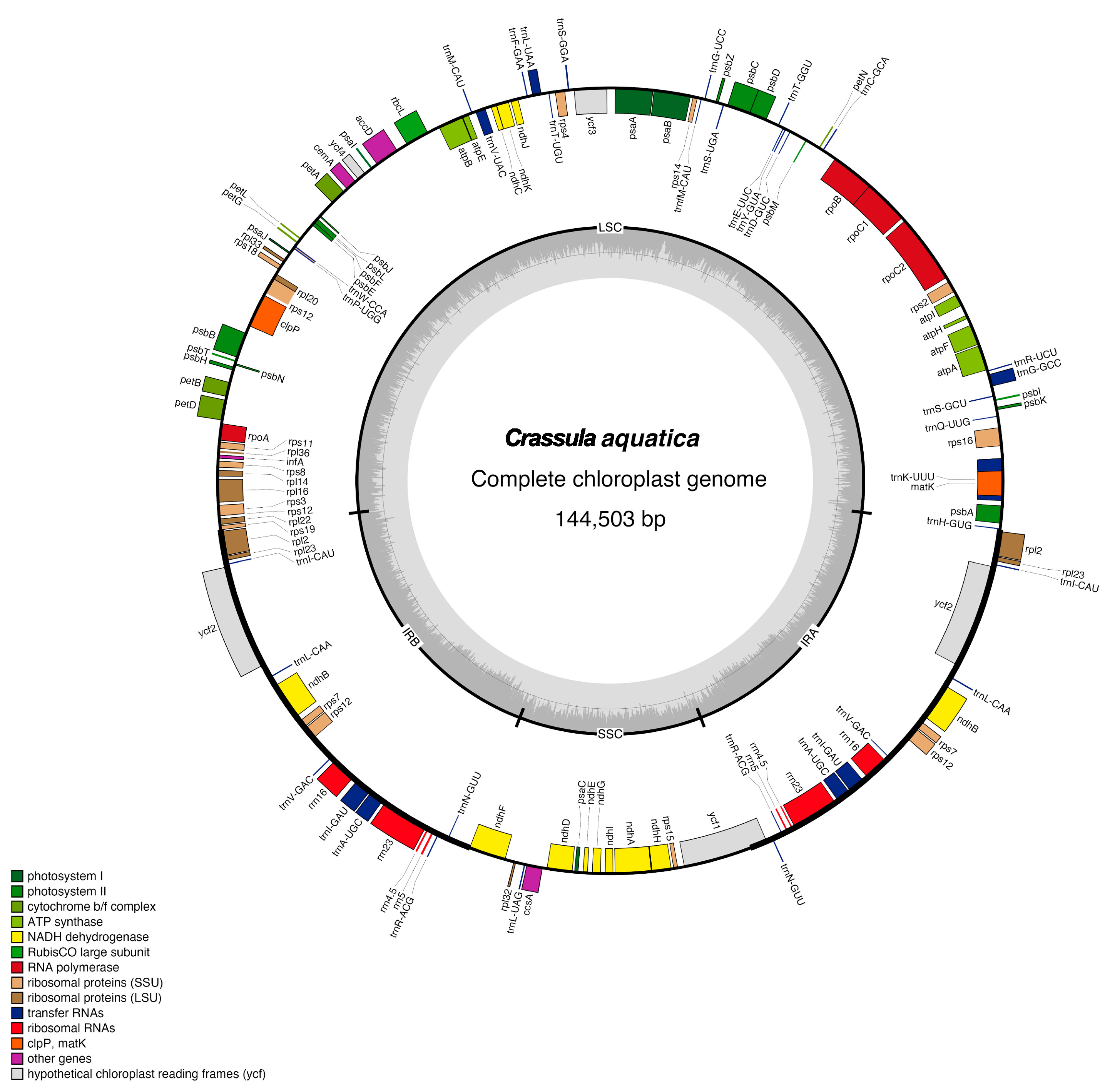 Genes 15 01399 g001