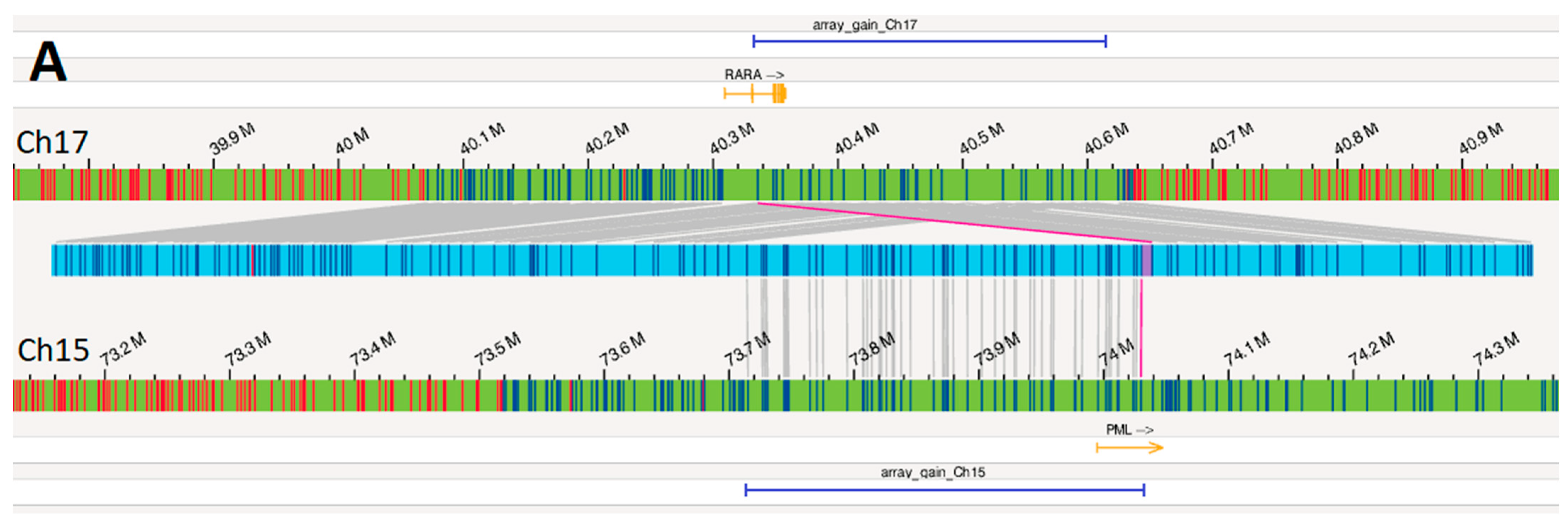Genes 15 01402 g004a