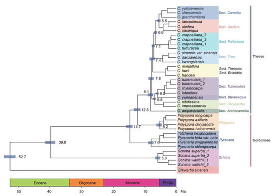 OHDLF: A Method for Selecting Orthologous Genes for