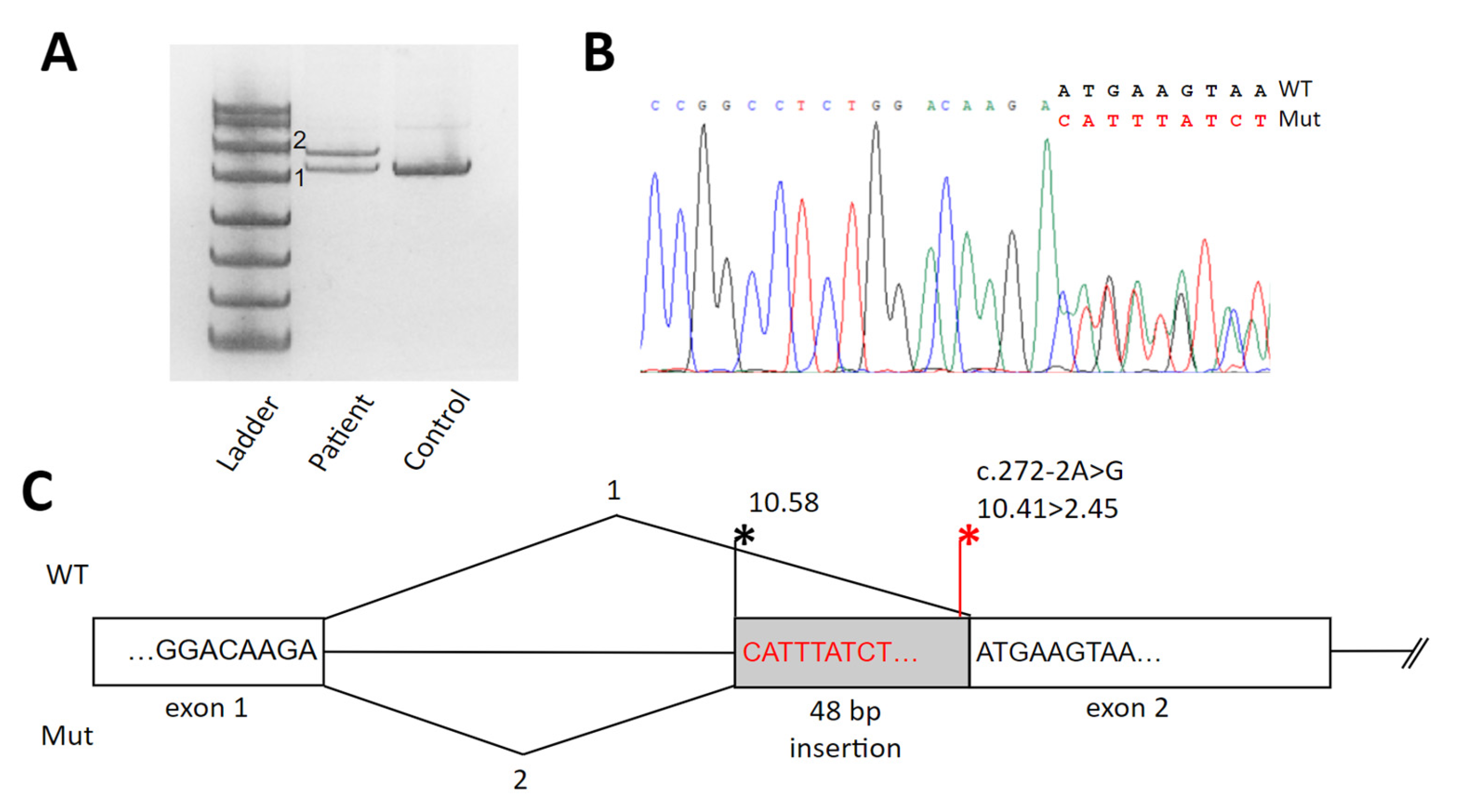 Genes 15 01406 g003 Genes 15 01406 g003