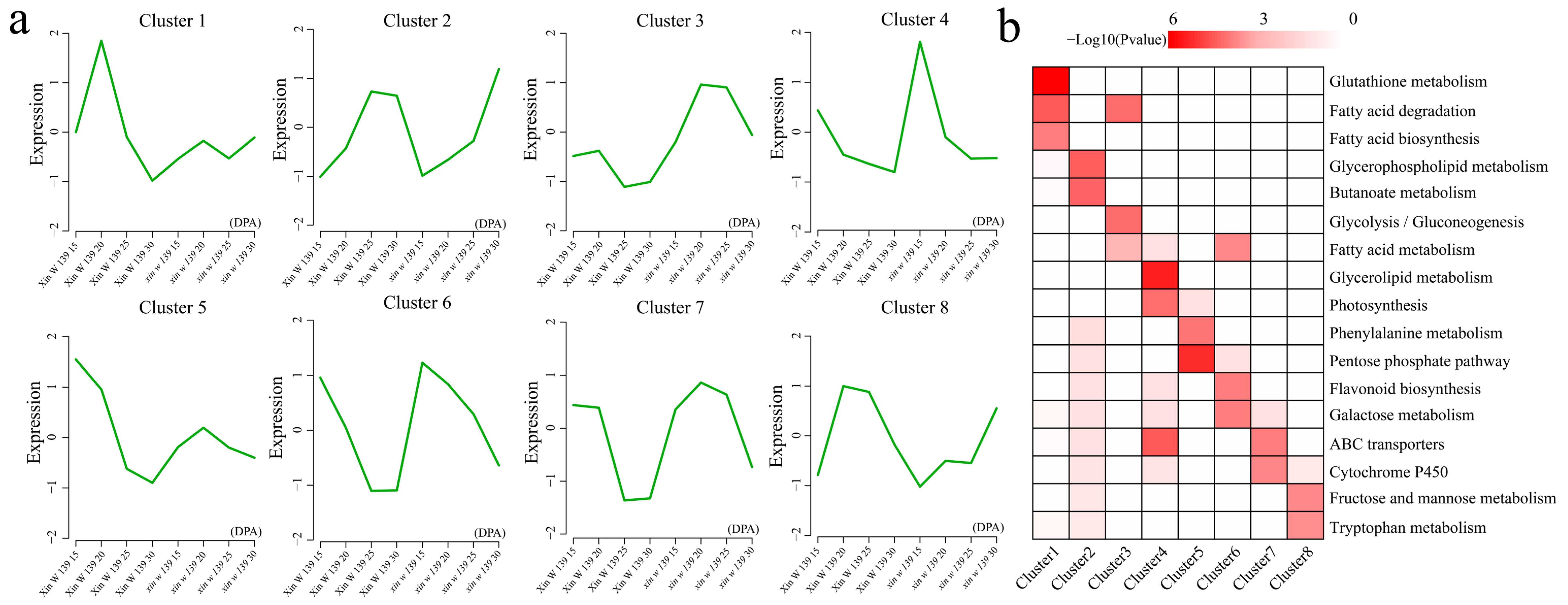 Genes 15 01408 g005