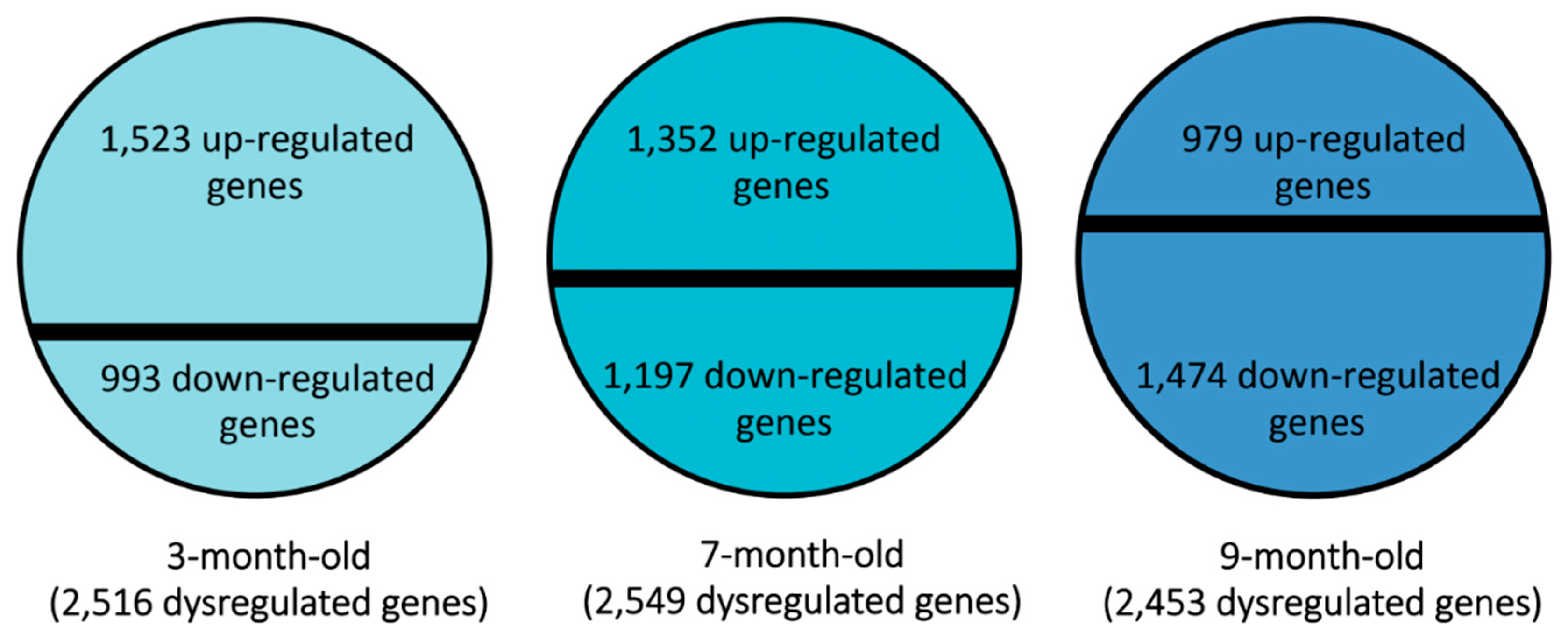 Genes 15 01411 g001