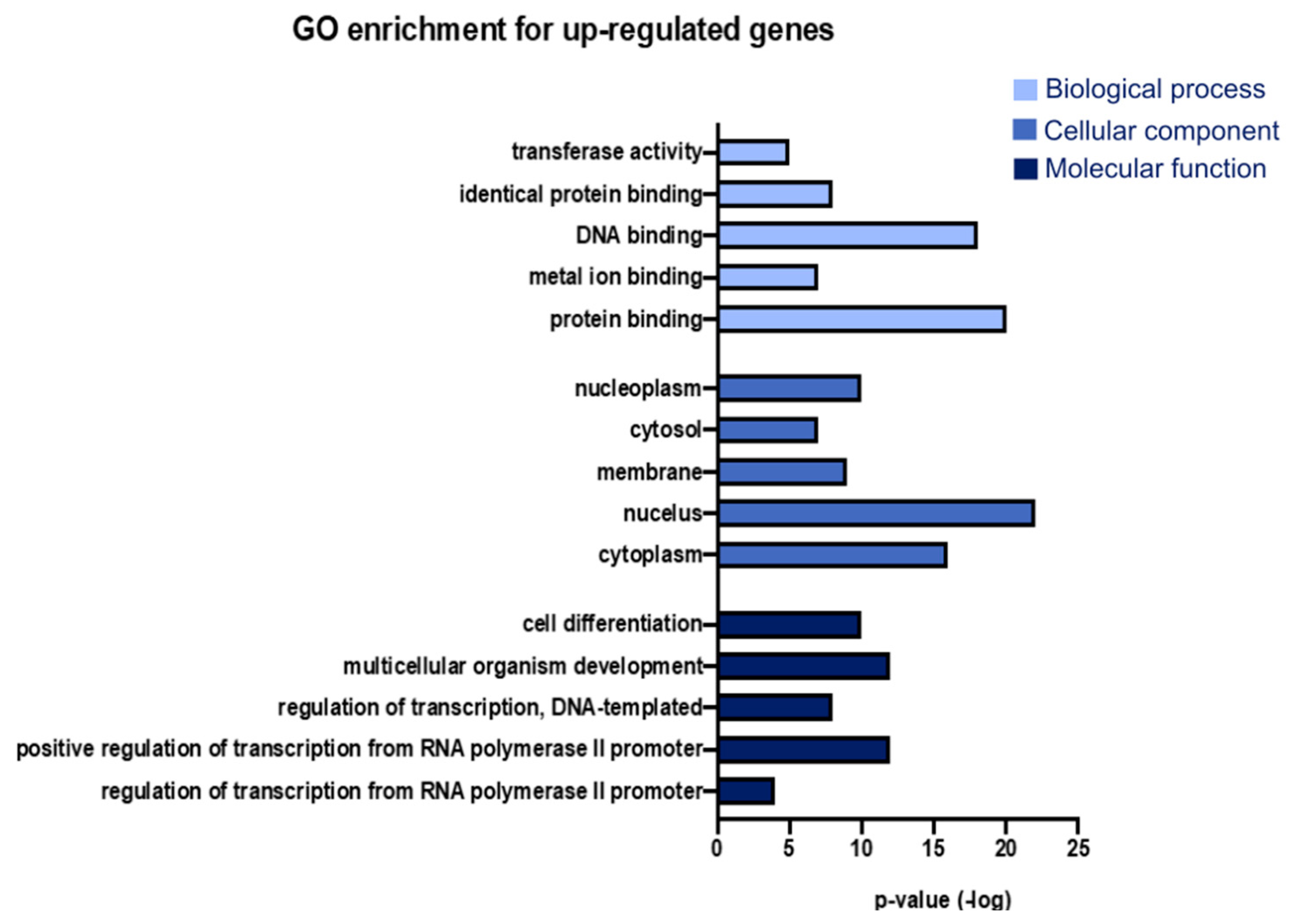 Genes 15 01411 g002
