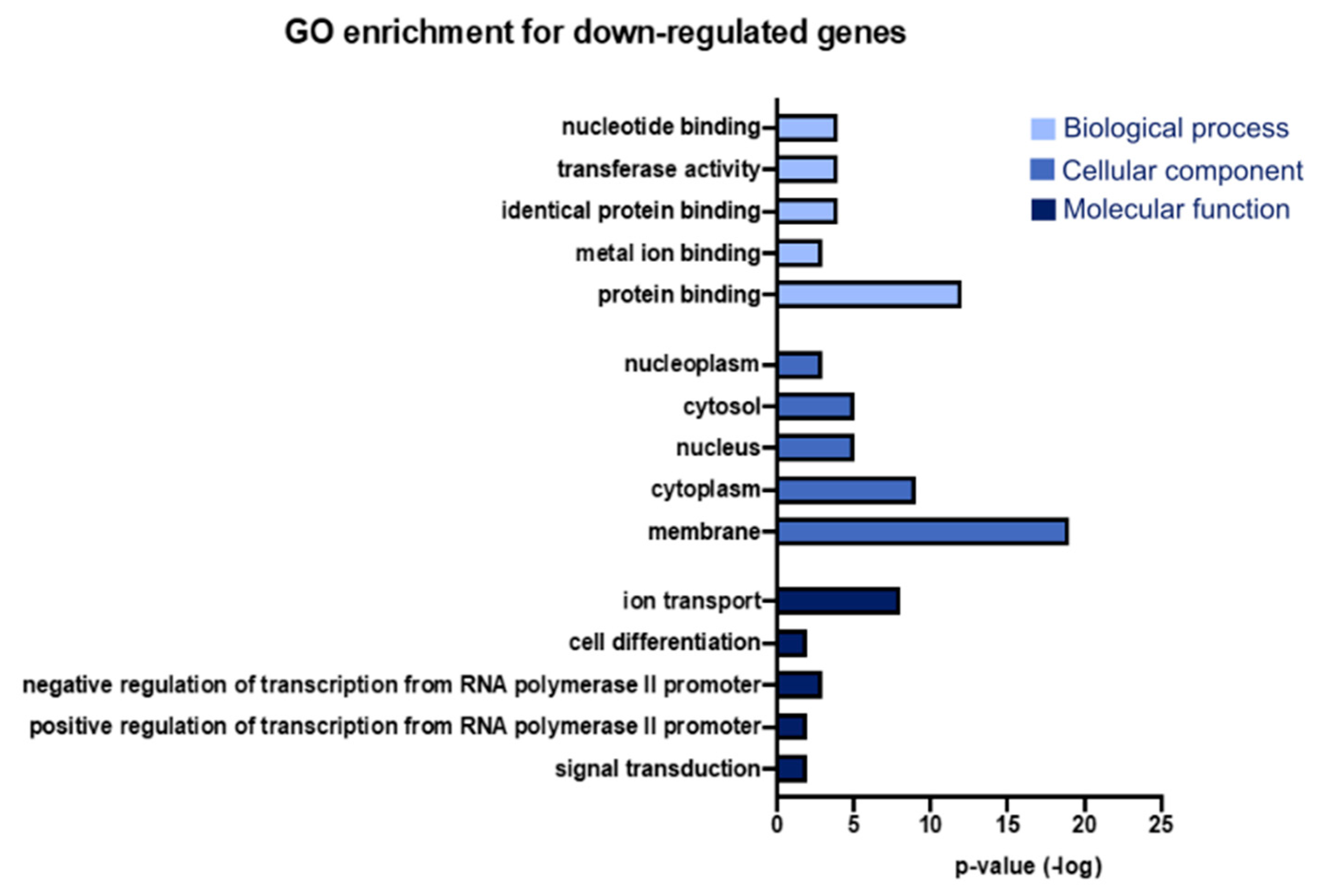 Genes 15 01411 g003
