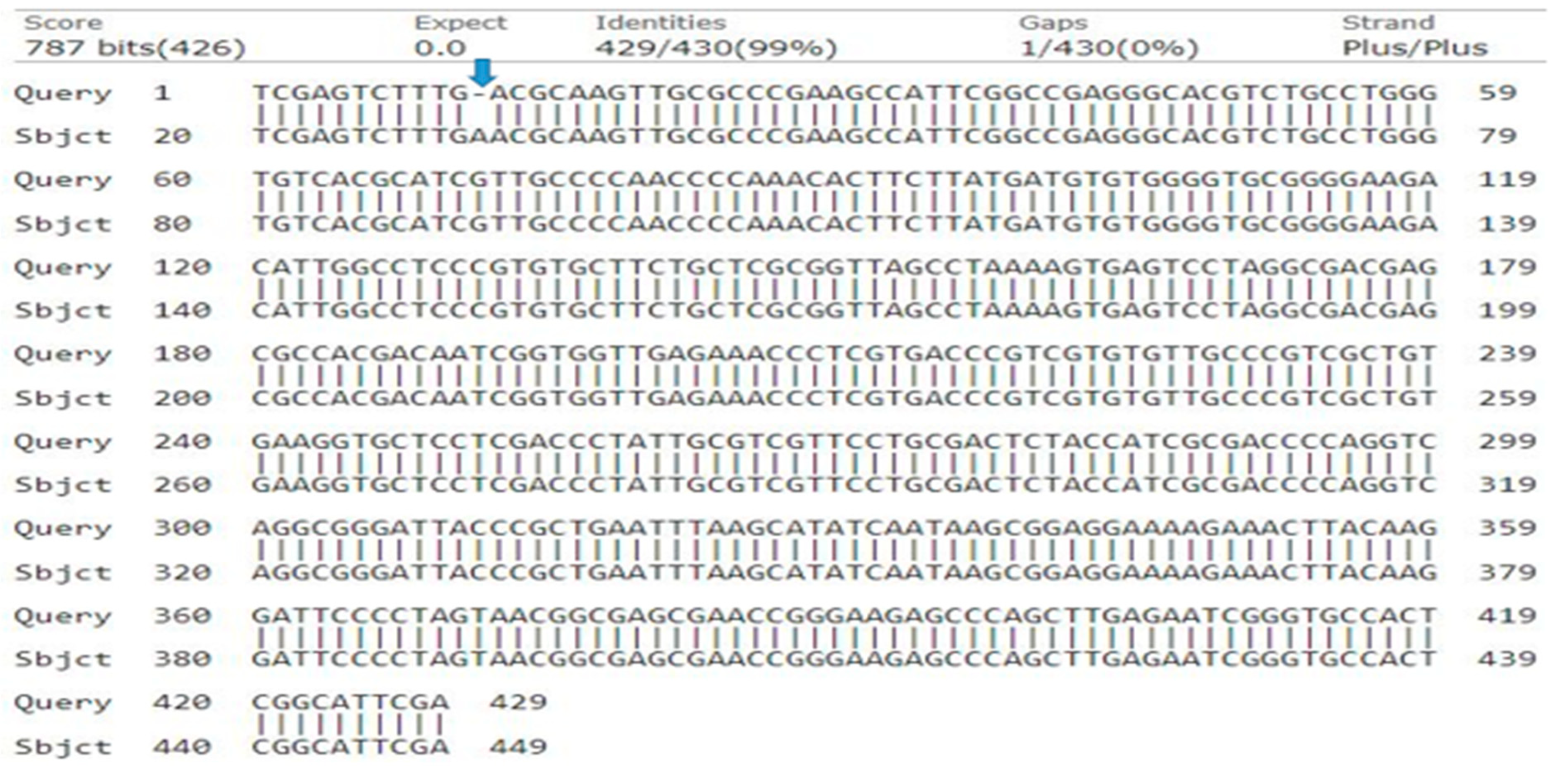 Genes 15 01417 g003 Genes 15 01417 g003