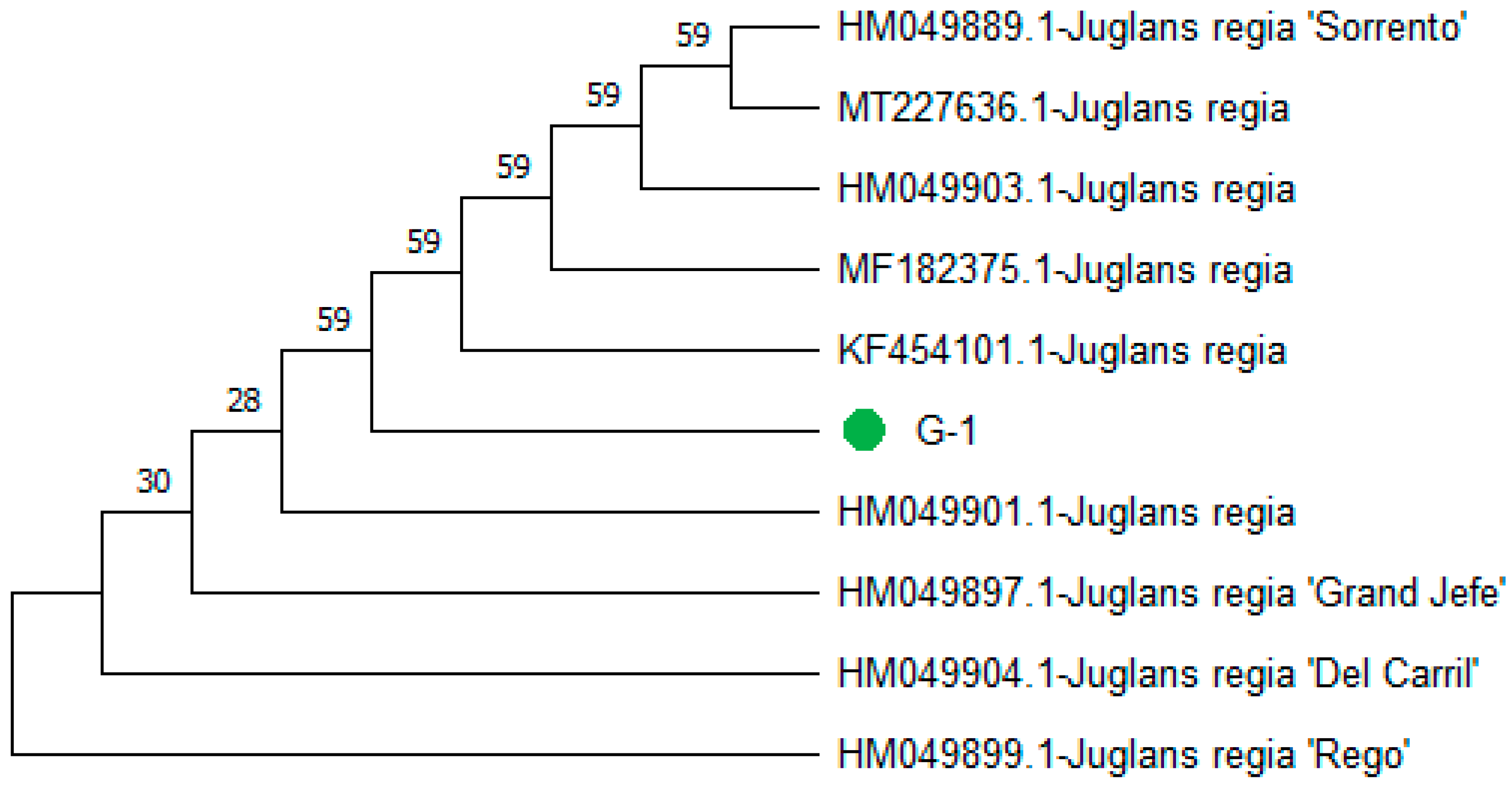 Genes 15 01417 g004 Genes 15 01417 g004