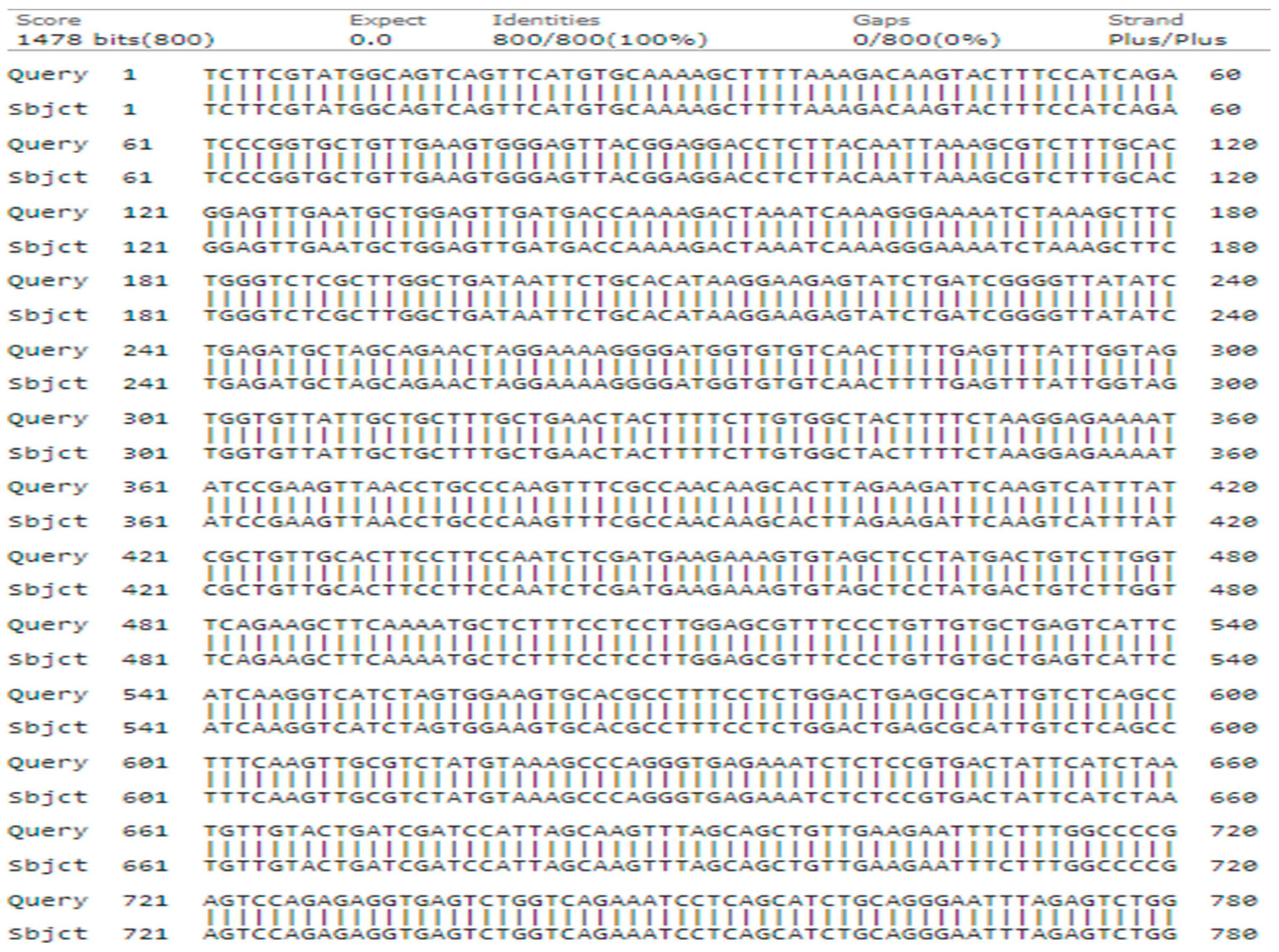 Genes 15 01417 g005 Genes 15 01417 g005