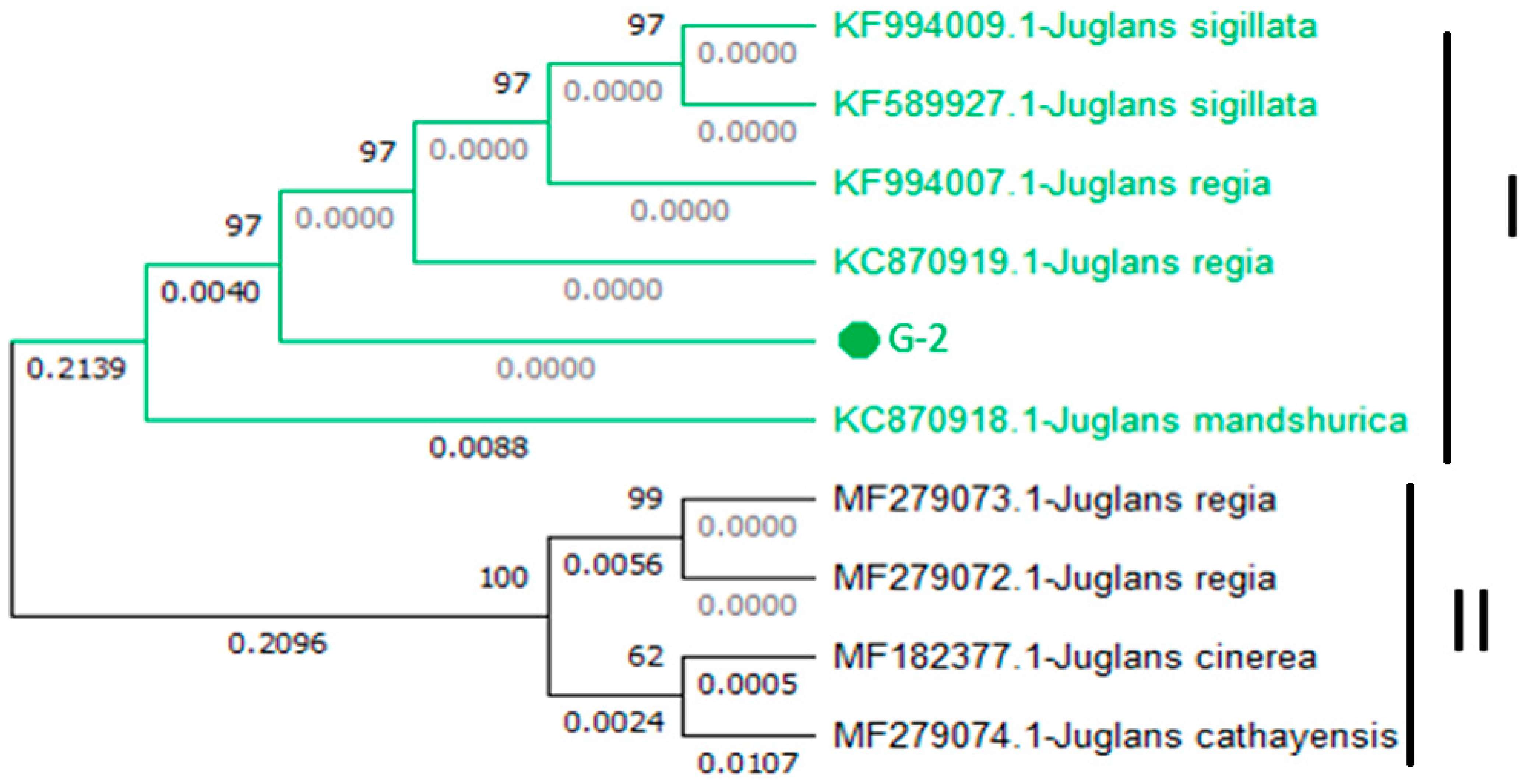 Genes 15 01417 g006 Genes 15 01417 g006