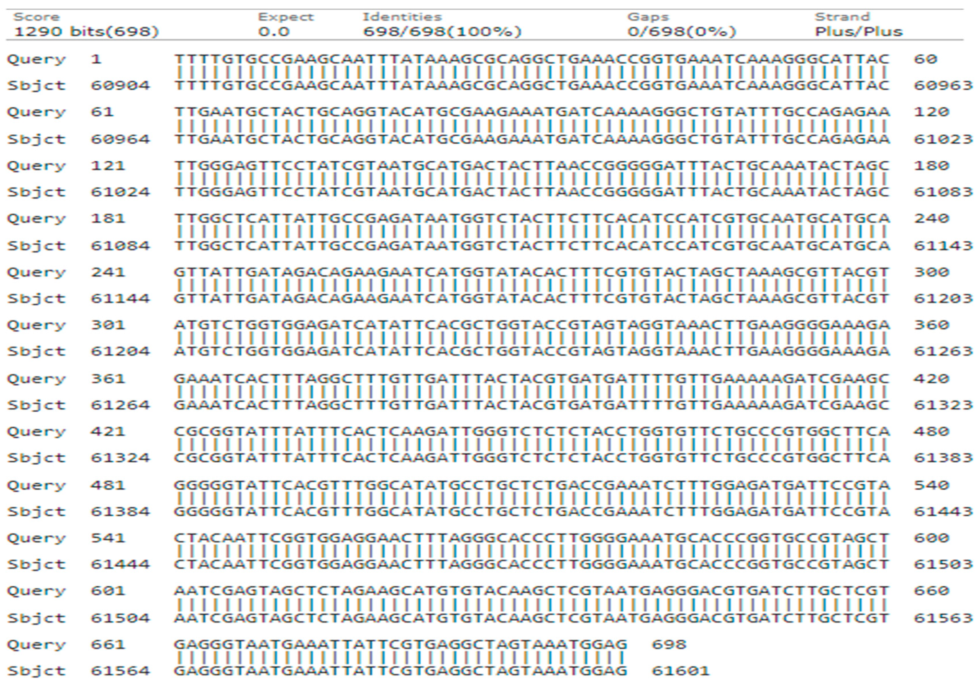 Genes 15 01417 g007 Genes 15 01417 g007