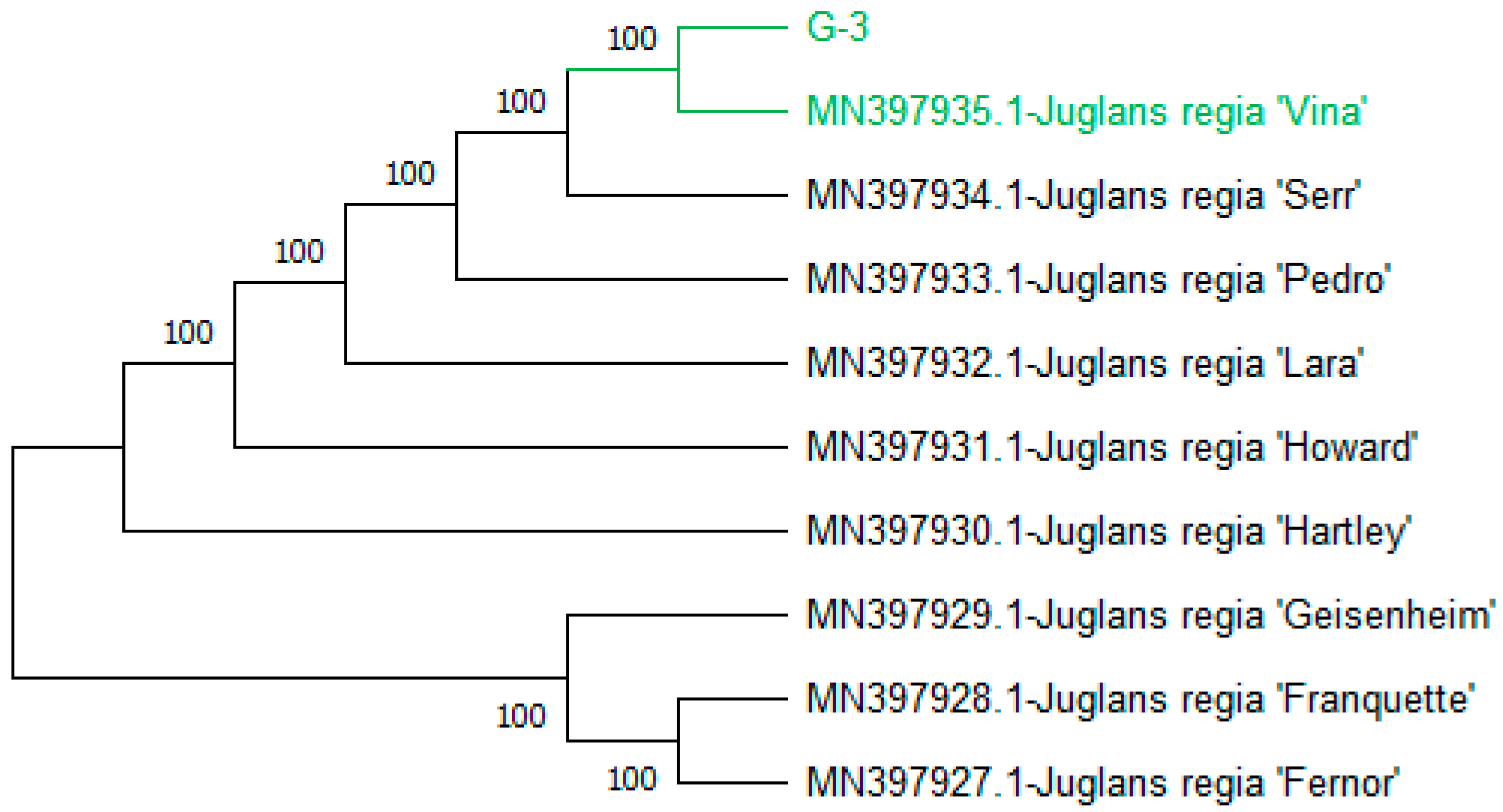 Genes 15 01417 g008 Genes 15 01417 g008