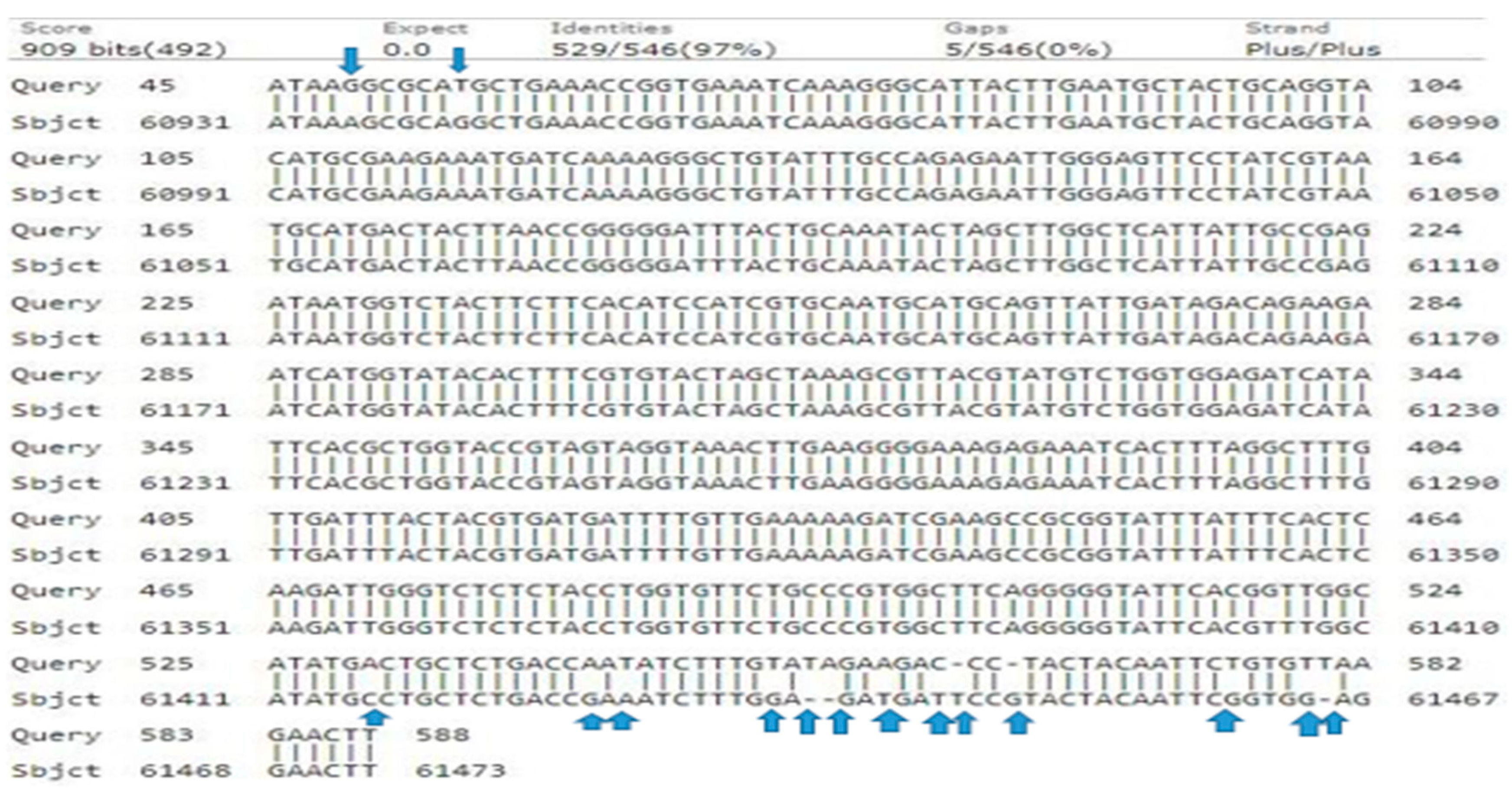 Genes 15 01417 g009 Genes 15 01417 g009