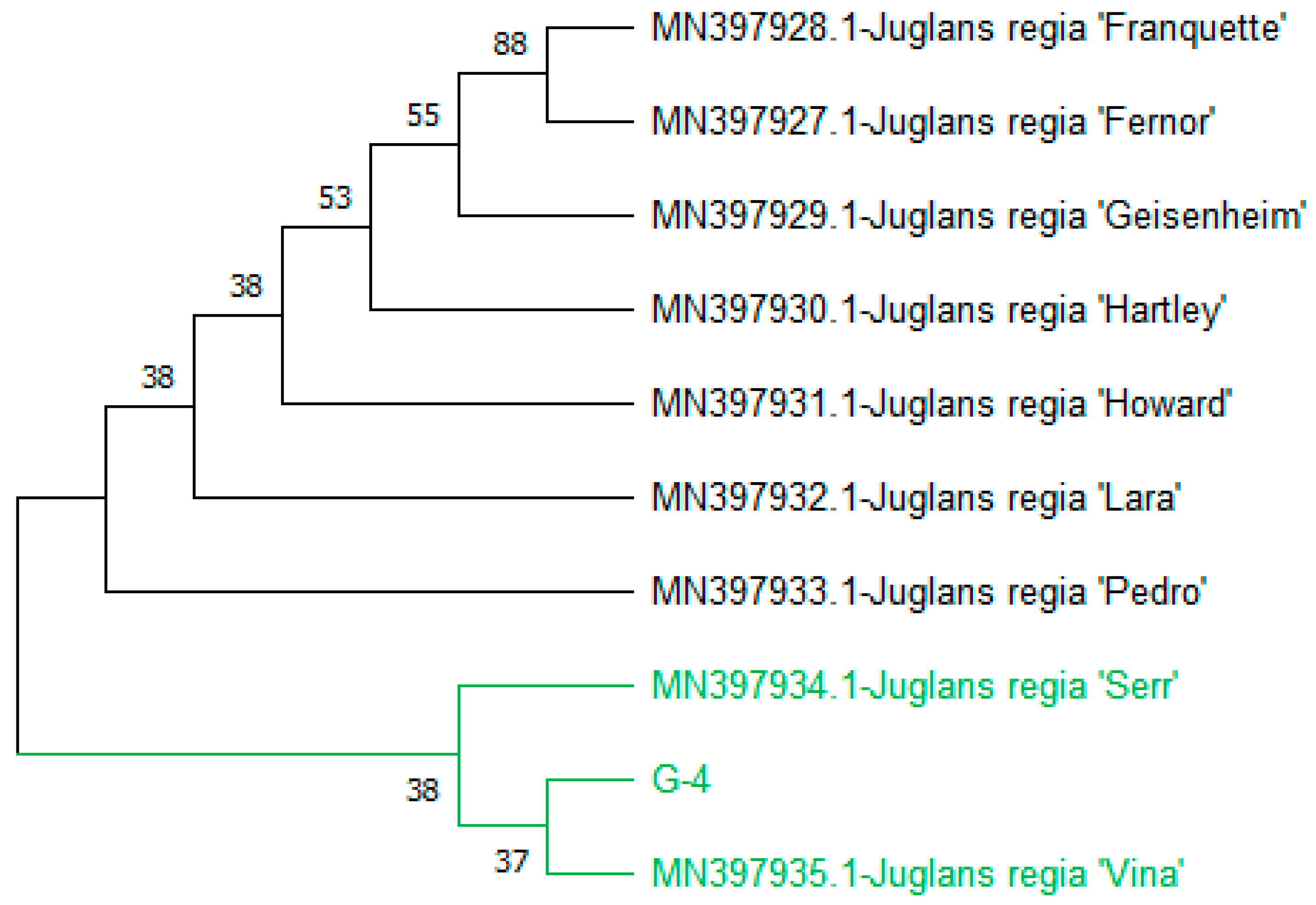 Genes 15 01417 g010 Genes 15 01417 g010