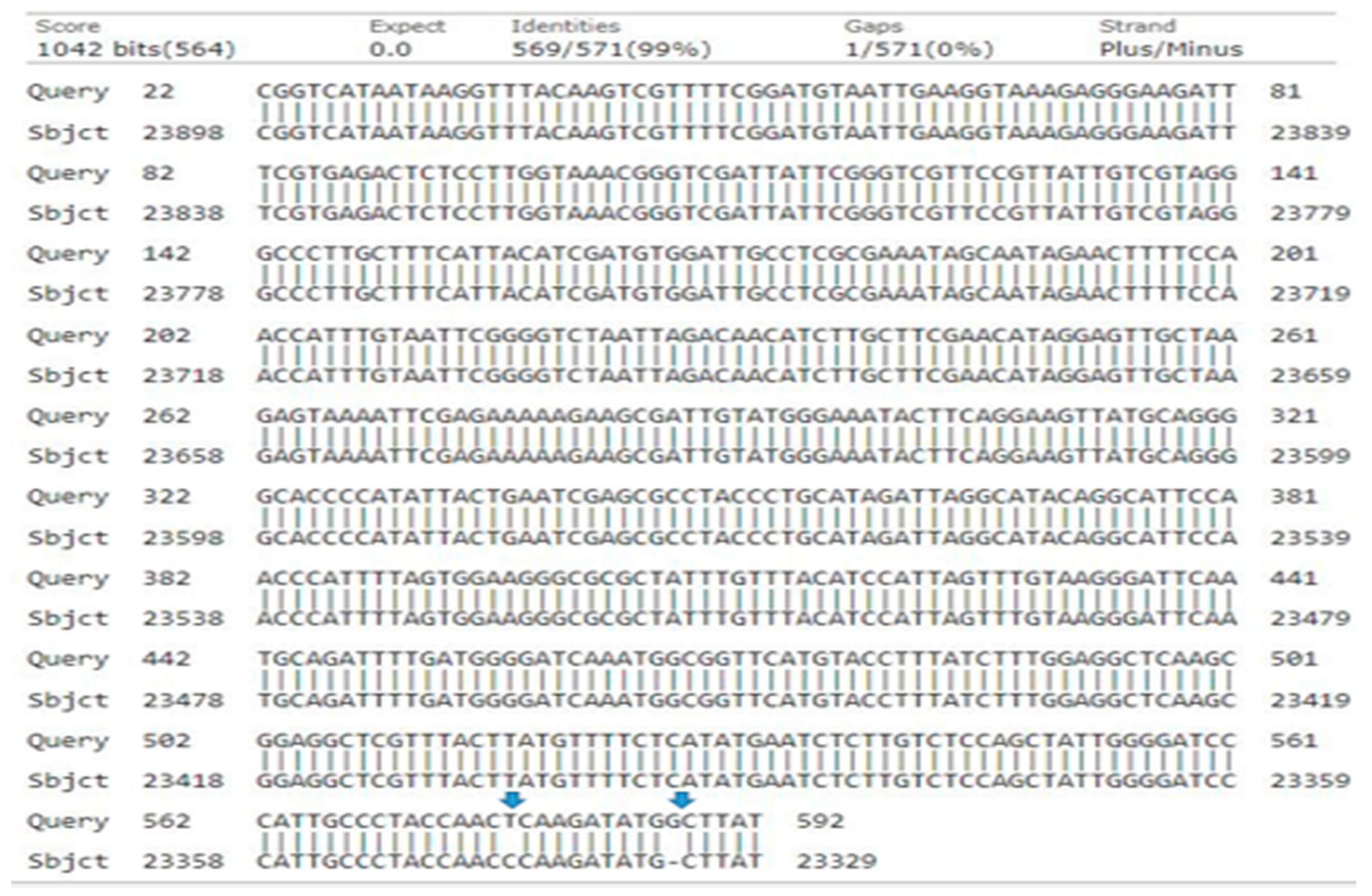 Genes 15 01417 g011 Genes 15 01417 g011